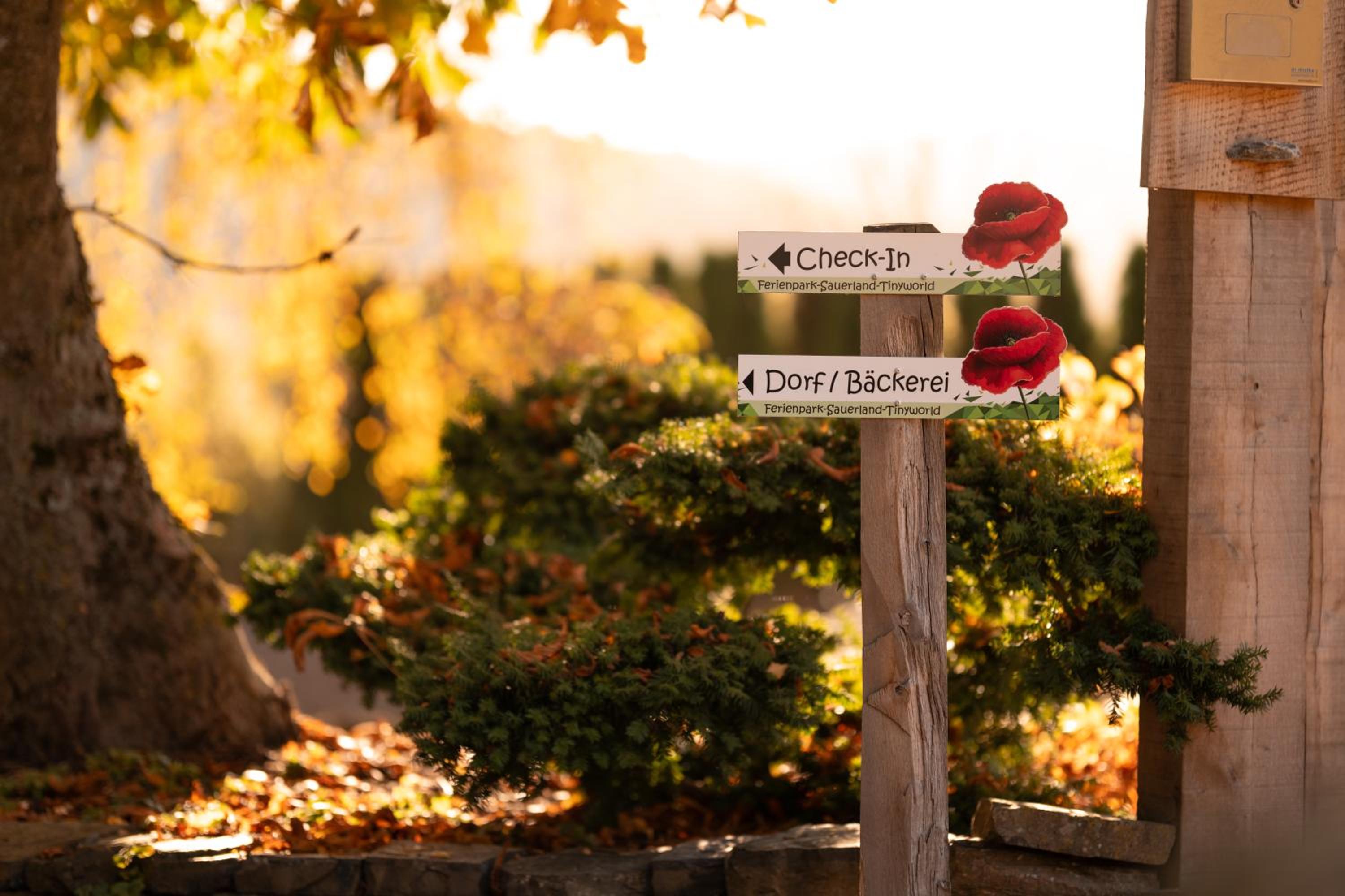 Sauerland-Tinyworld - Ihr Tiny Ferienhaus am Rande des Sauerlandes, Nähe Diemelsee