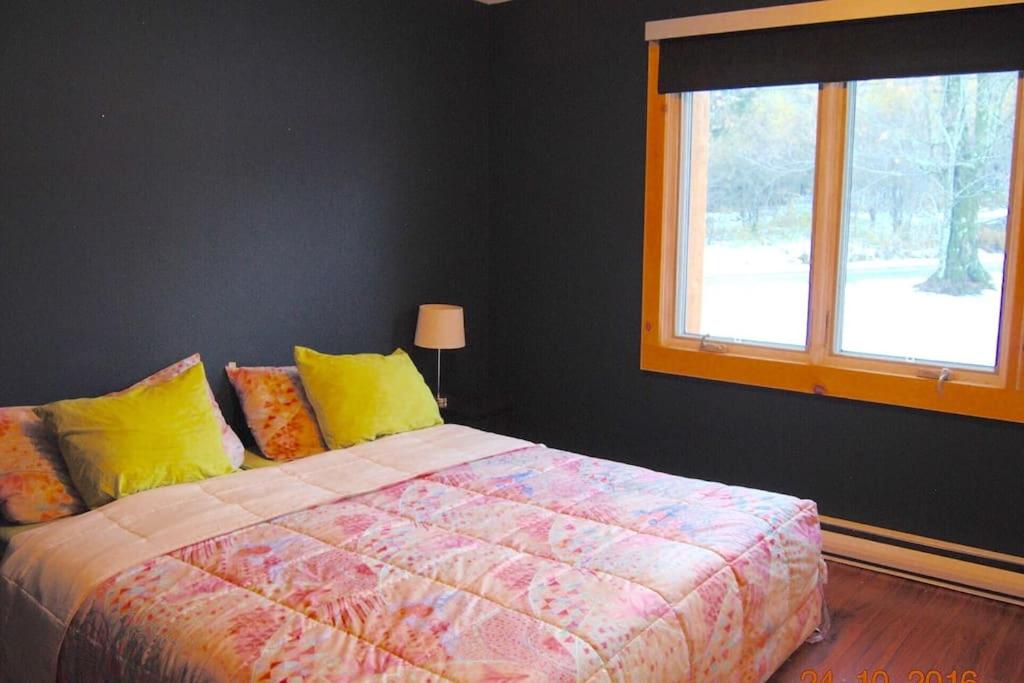 Spacious luxurious Villa, bright cottage, pool, Jacuzzi, sauna, nature