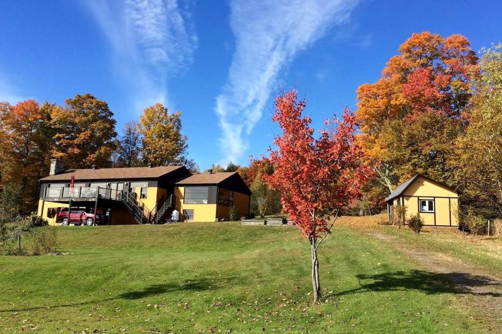 Spacious luxurious Villa, bright cottage, pool, Jacuzzi, sauna, nature