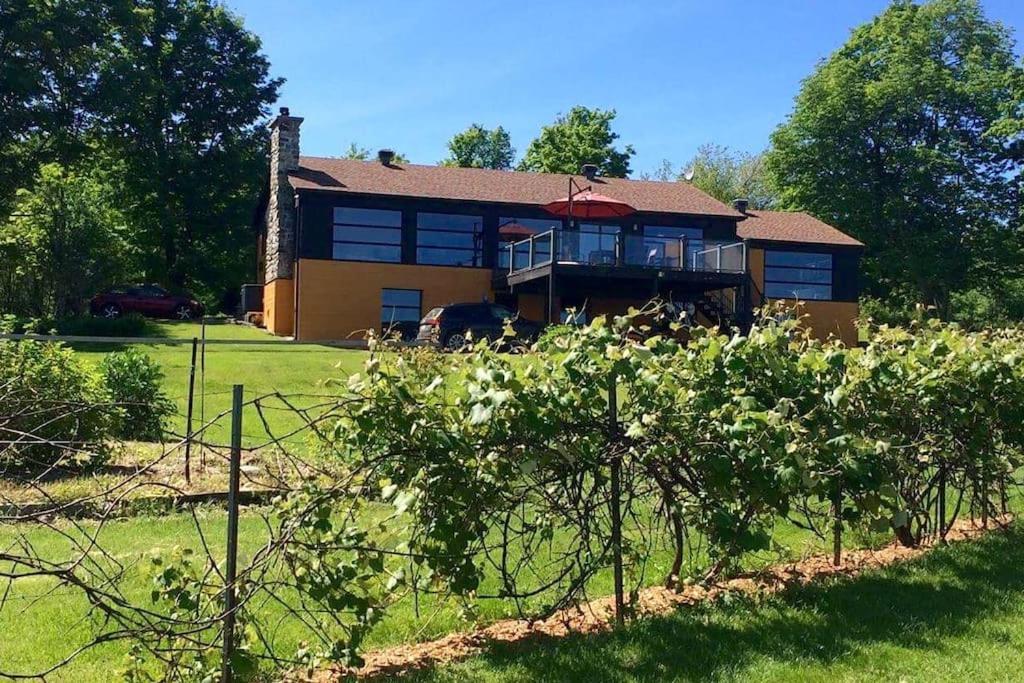 Spacious luxurious Villa, bright cottage, pool, Jacuzzi, sauna, nature