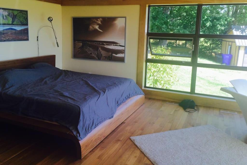 Spacious luxurious Villa, bright cottage, pool, Jacuzzi, sauna, nature