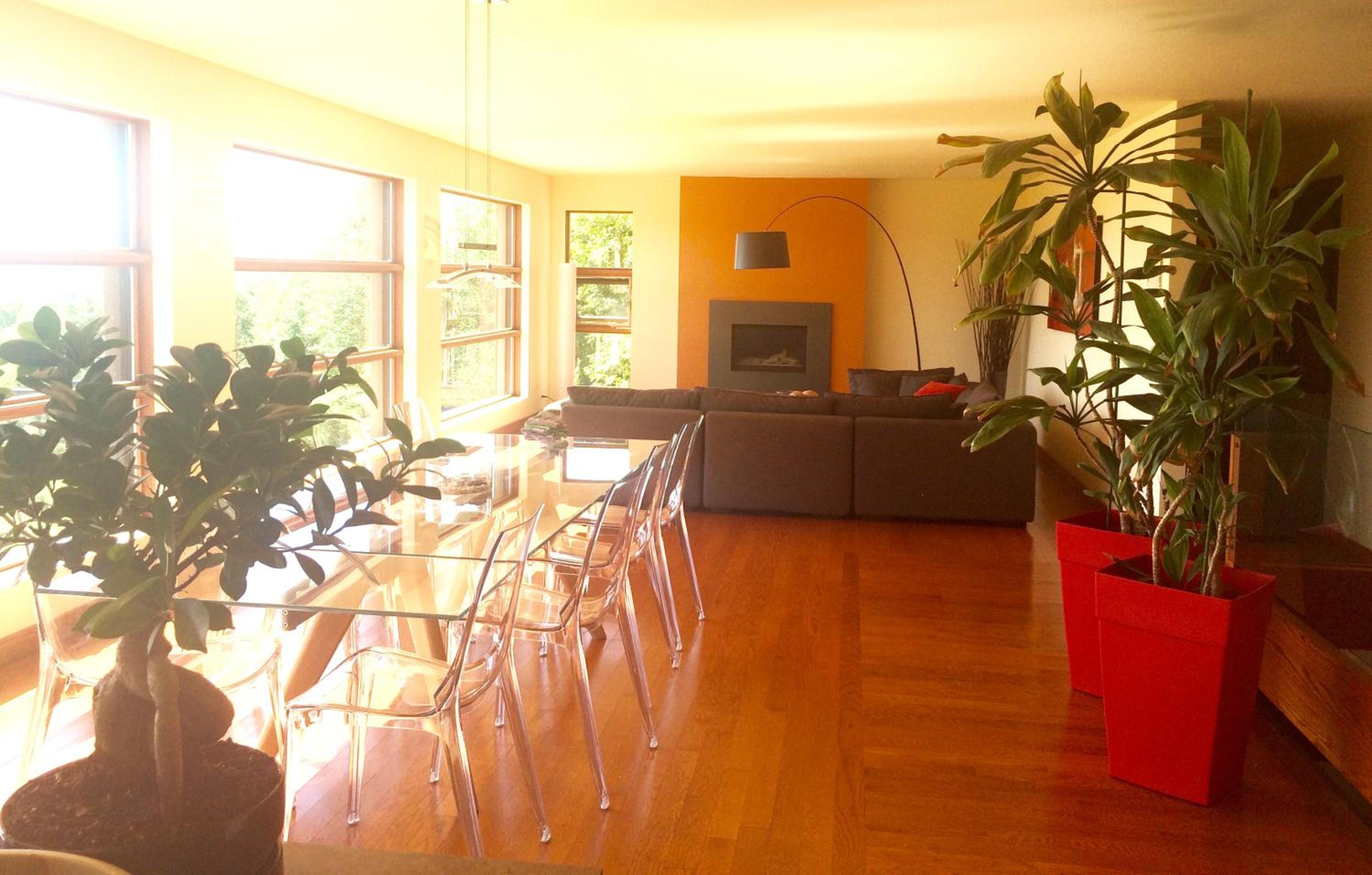 Spacious luxurious Villa, bright cottage, pool, Jacuzzi, sauna, nature