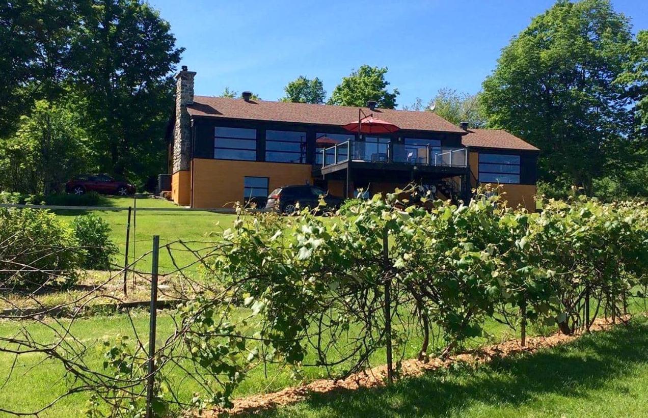 Spacious luxurious Villa, bright cottage, pool, Jacuzzi, sauna, nature