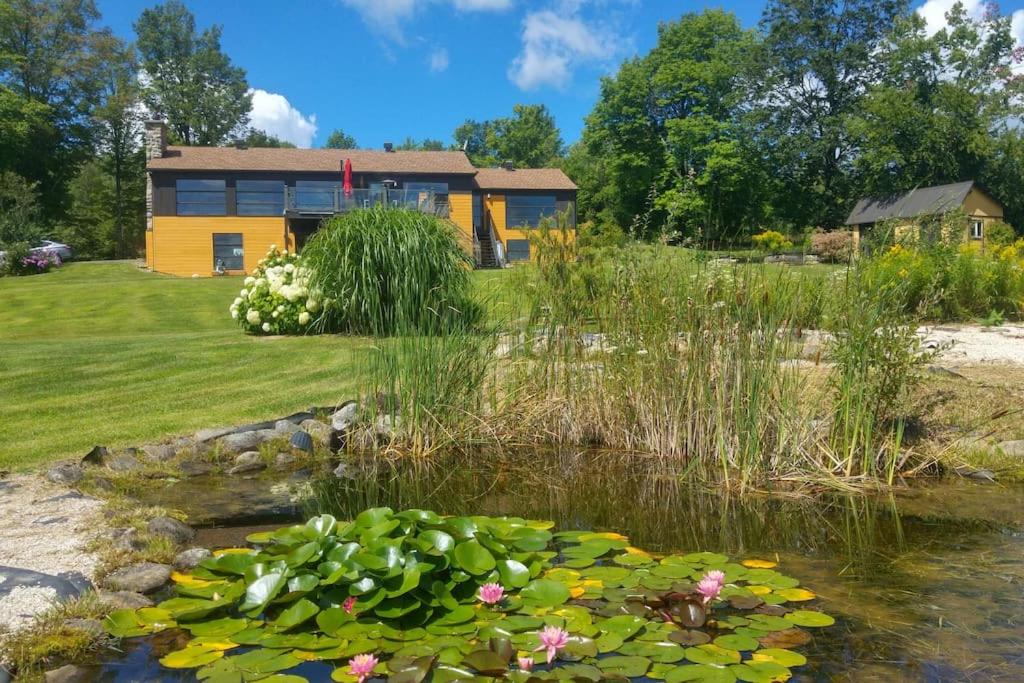 Spacious luxurious Villa, bright cottage, pool, Jacuzzi, sauna, nature