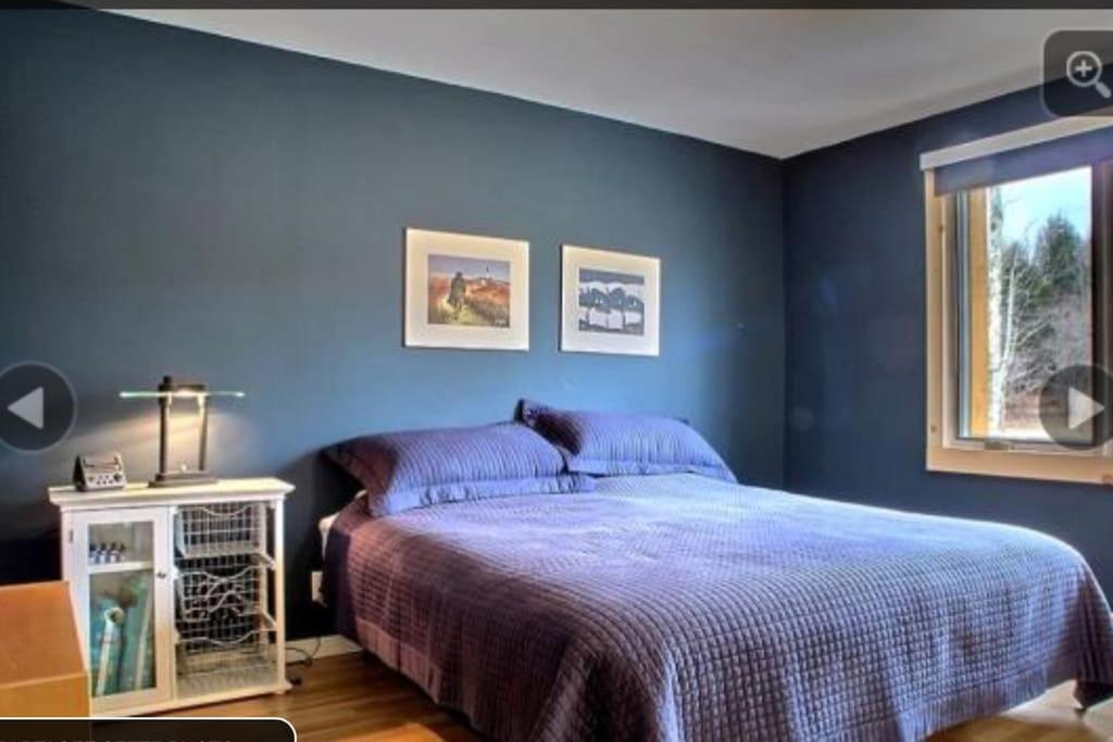 Spacious luxurious Villa, bright cottage, pool, Jacuzzi, sauna, nature