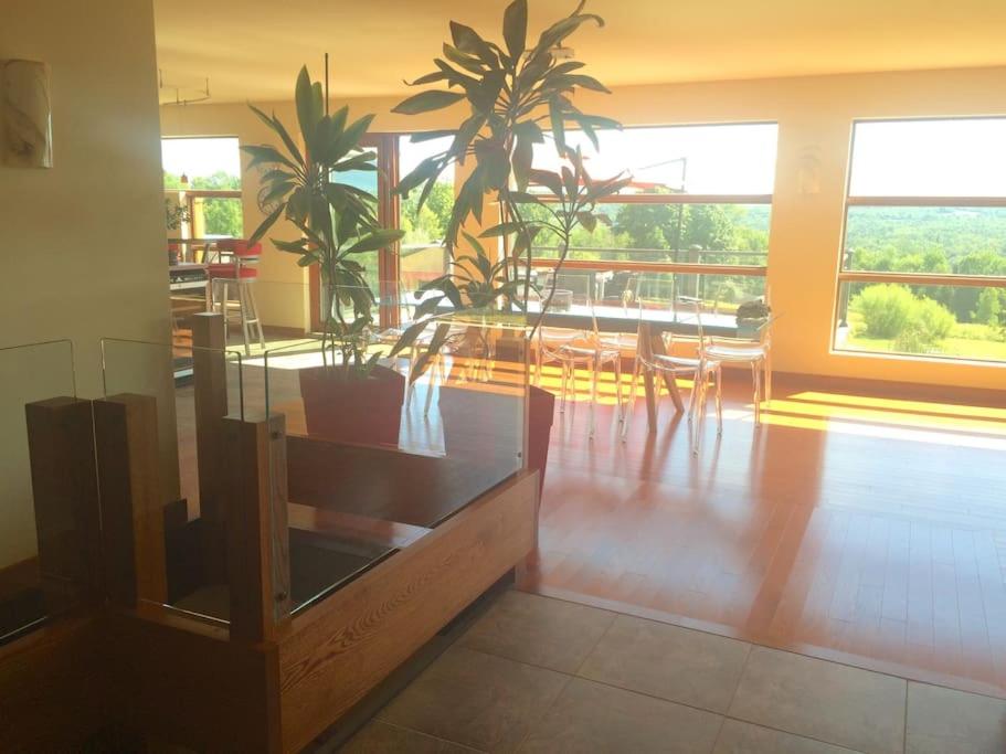Spacious luxurious Villa, bright cottage, pool, Jacuzzi, sauna, nature
