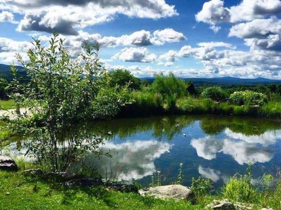 Spacious luxurious Villa, bright cottage, pool, Jacuzzi, sauna, nature