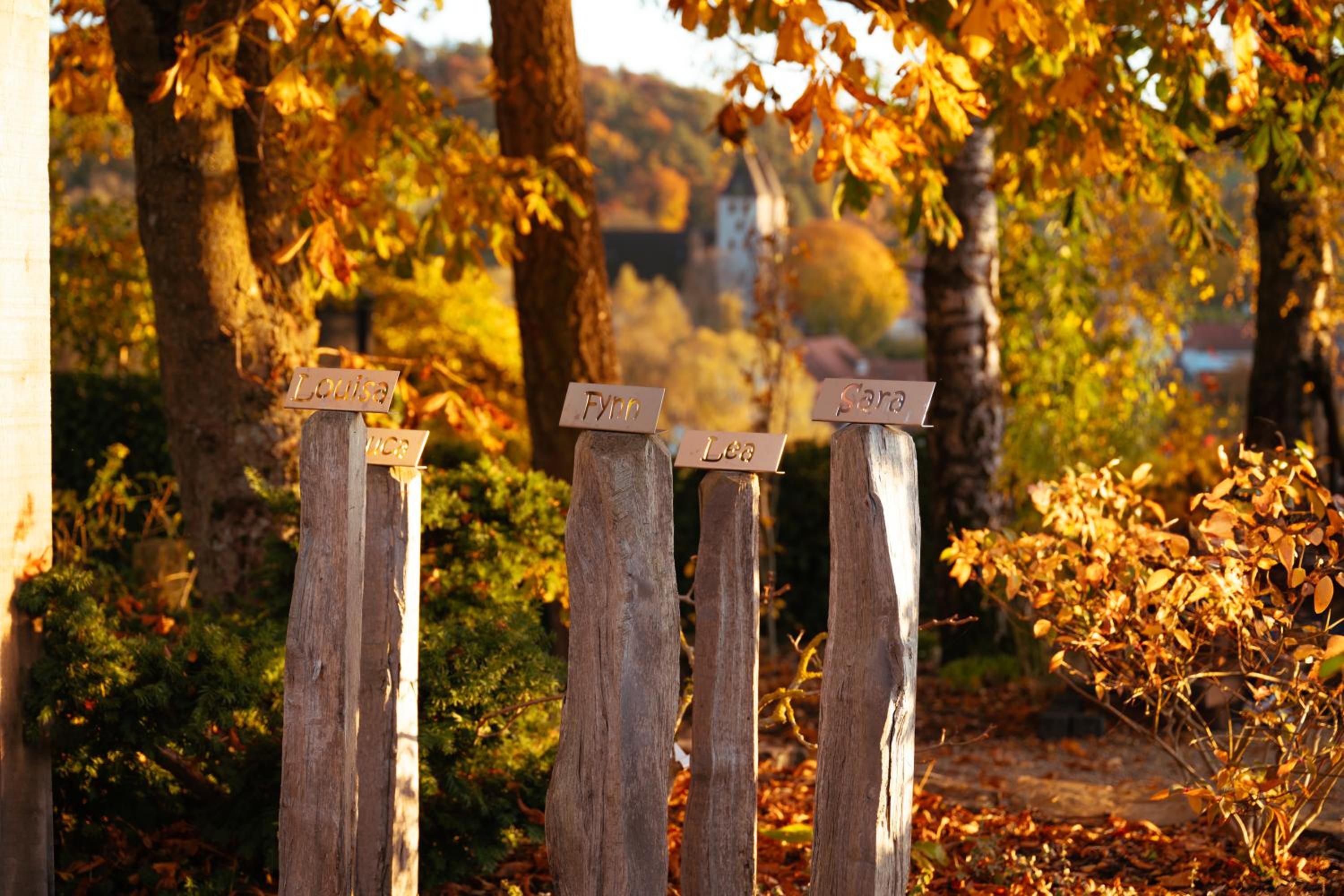 Sauerland-Tinyworld - Ihr Tiny Ferienhaus am Rande des Sauerlandes, Nähe Diemelsee