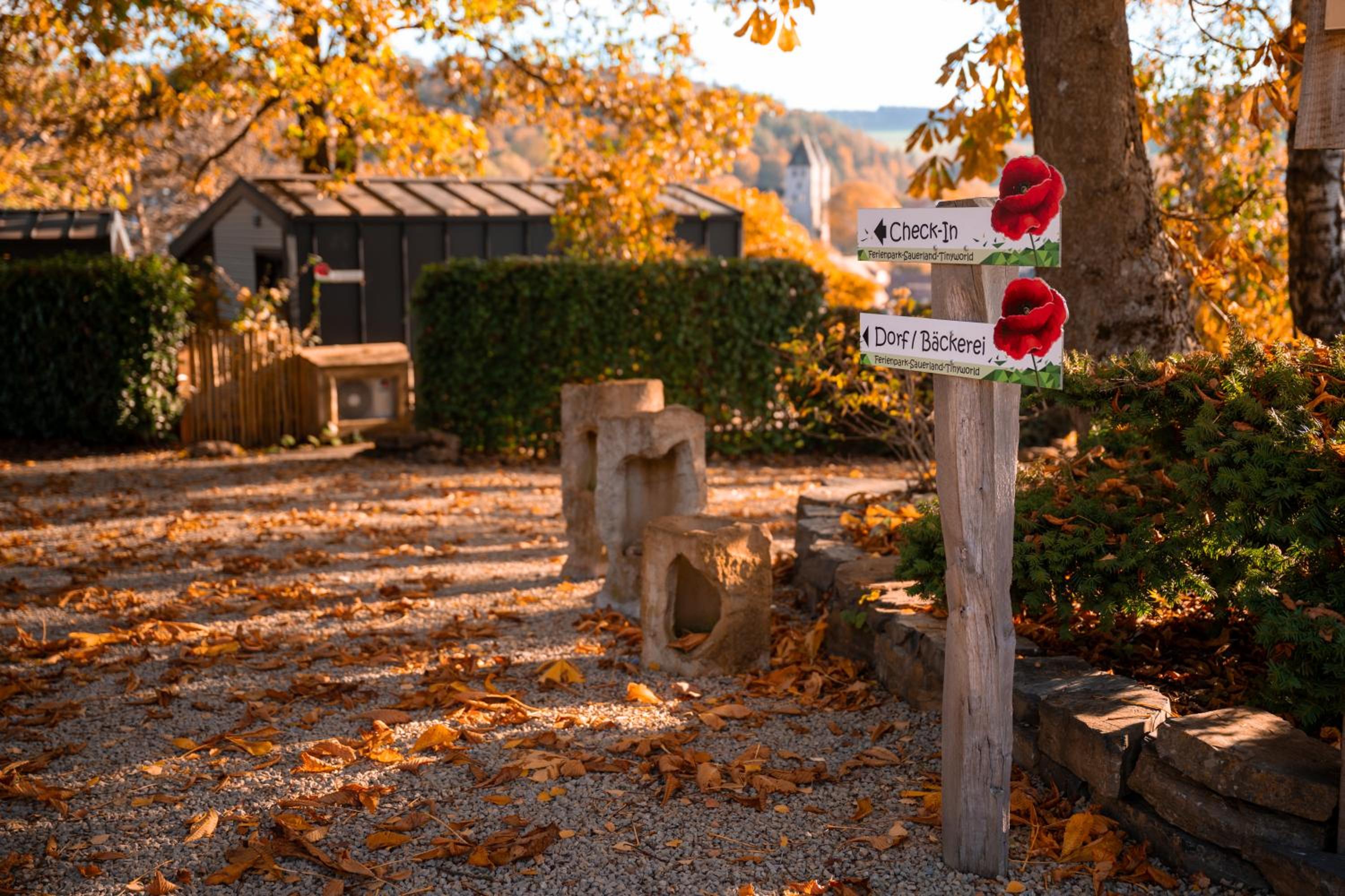Sauerland-Tinyworld - Ihr Tiny Ferienhaus am Rande des Sauerlandes, Nähe Diemelsee