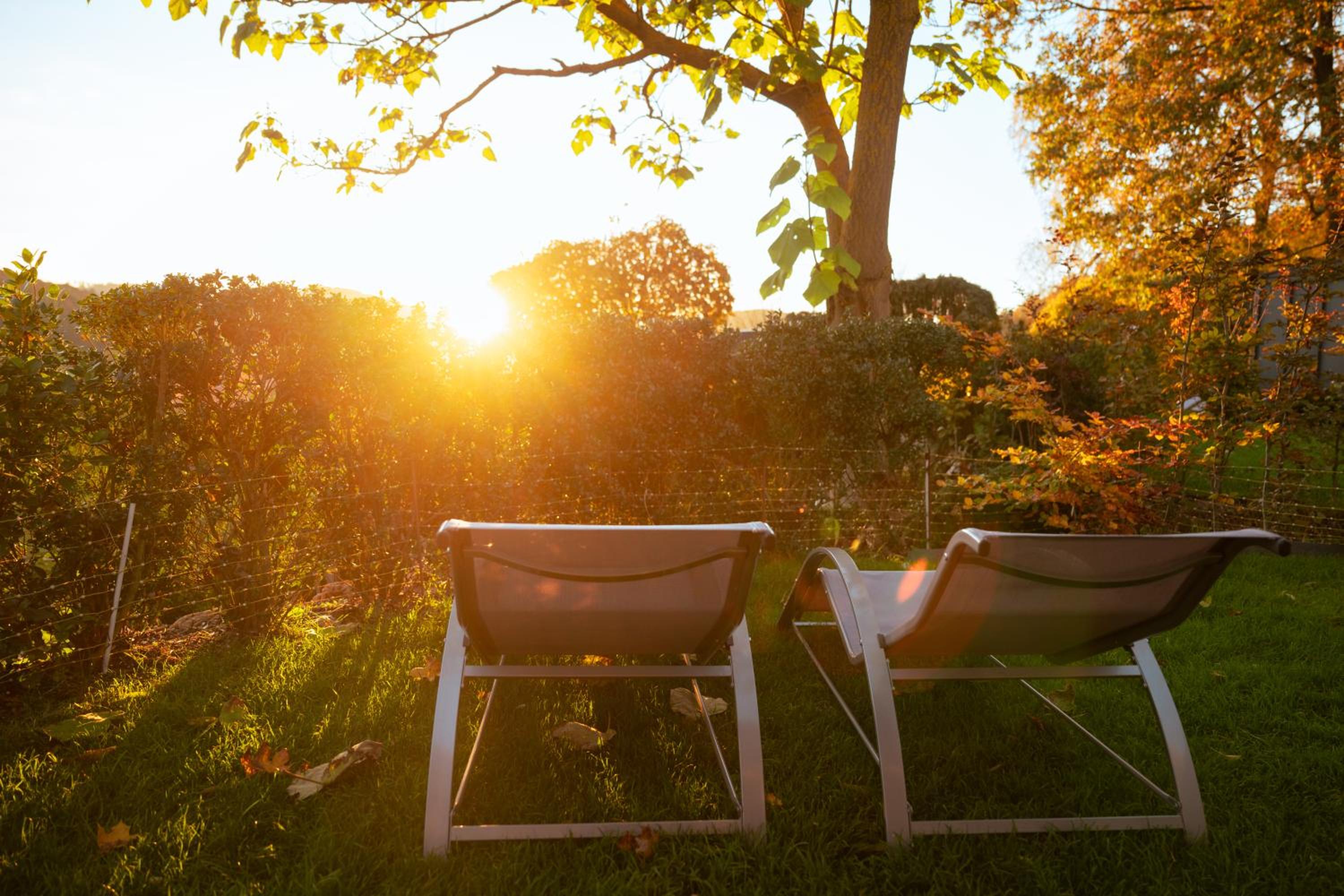Sauerland-Tinyworld - Ihr Tiny Ferienhaus am Rande des Sauerlandes, Nähe Diemelsee