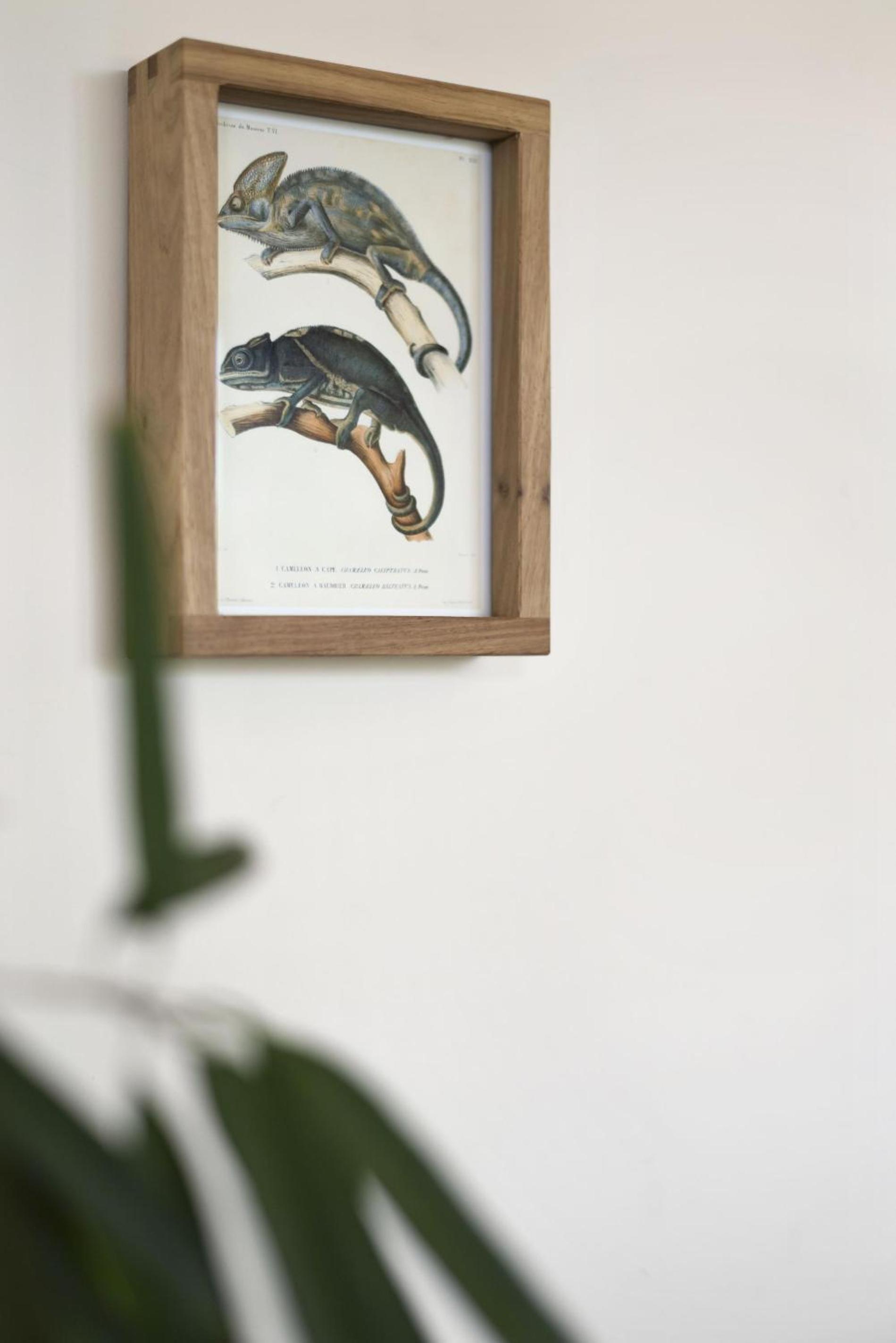 Photo 43