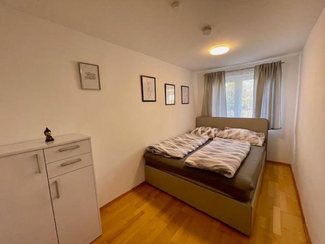 Tierfreundliche Wohnung im Grünen