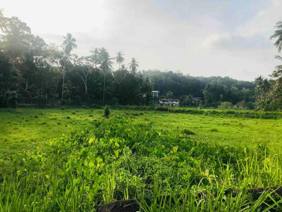 Quiet place Unawatuna