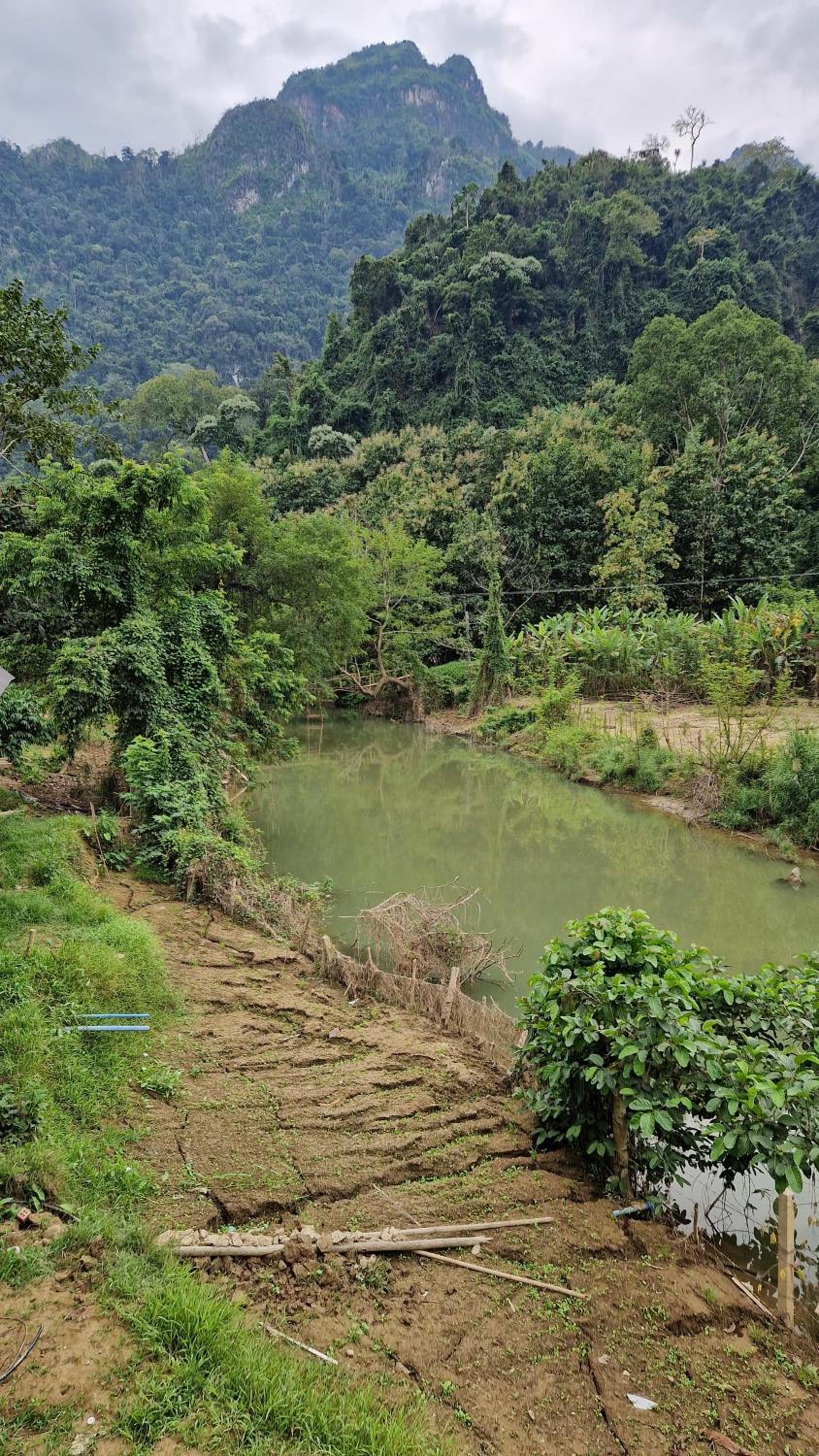 Eco Farm Stay and Hostel