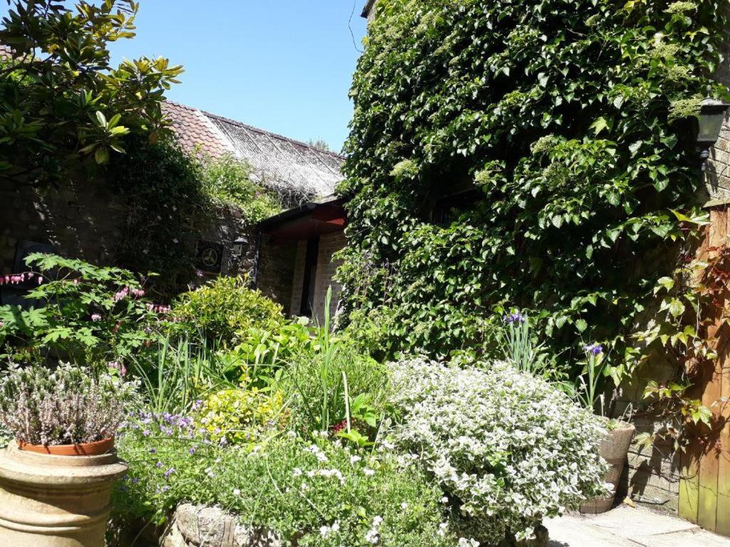 The Casterbridge