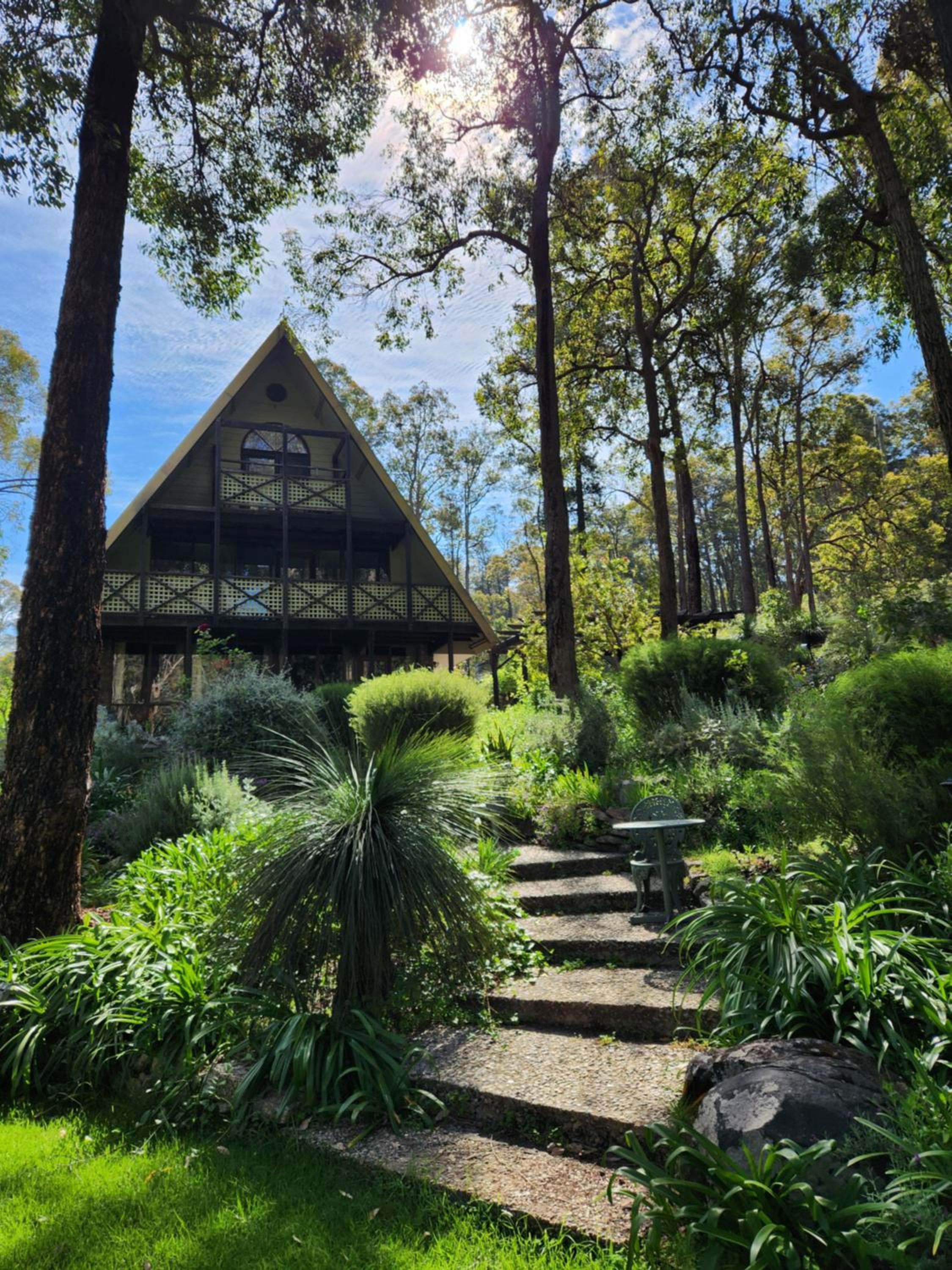 The Lavender Patch view 5