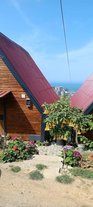 Trabzon bungalovv