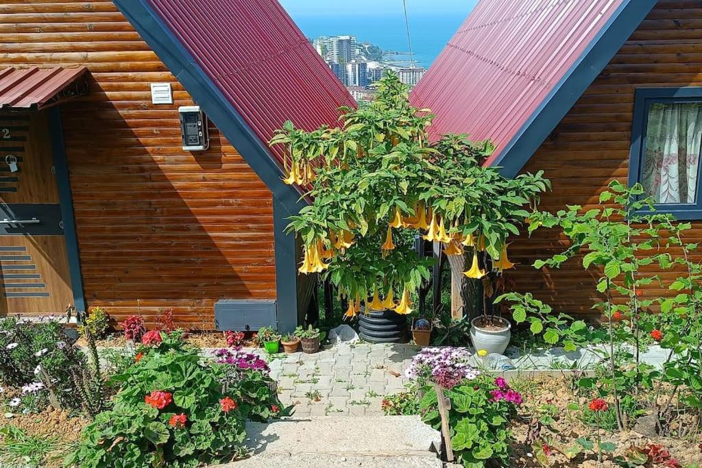 Trabzon bungalovv