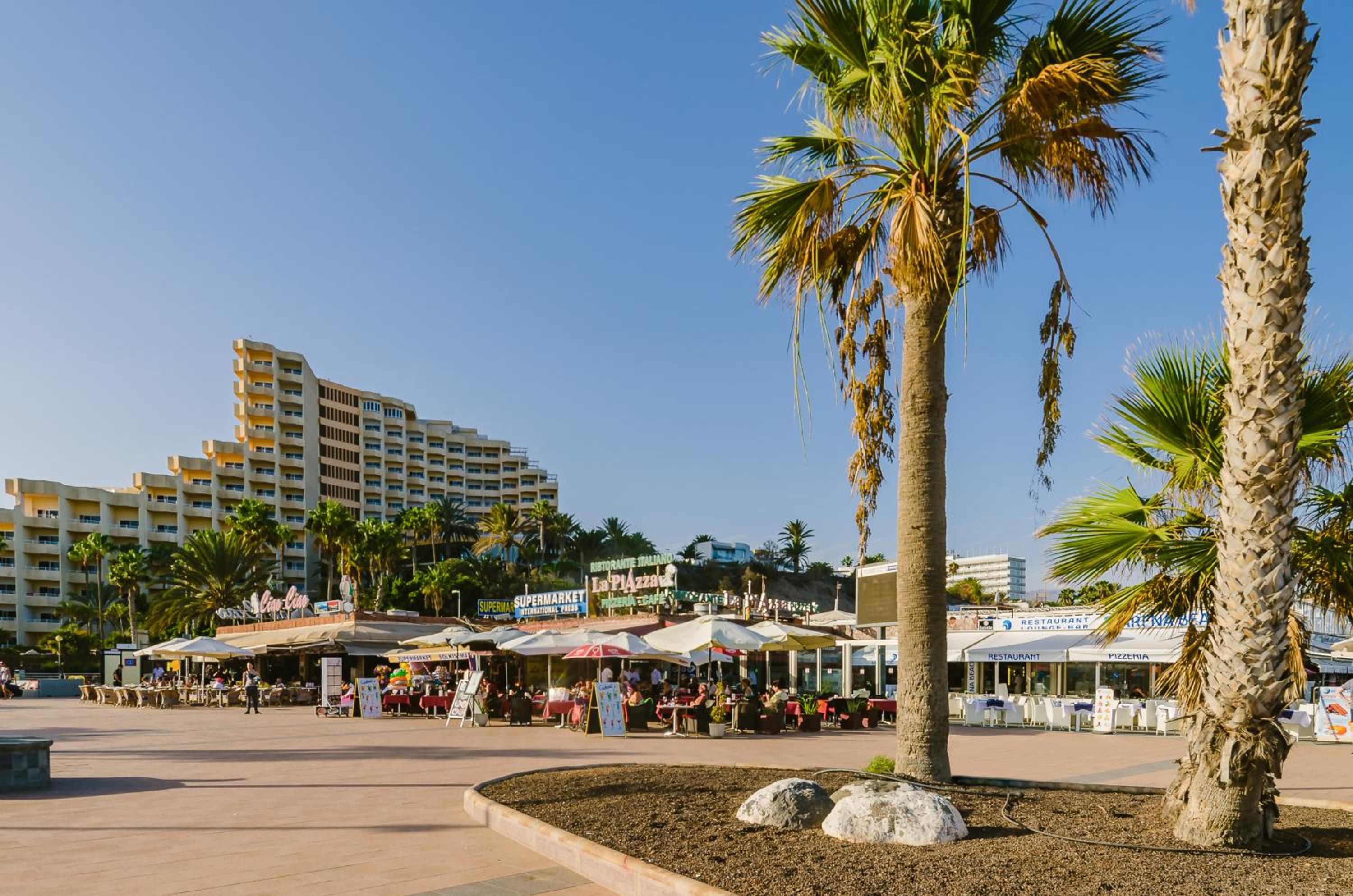 Paradise Canarian Breeze Suite