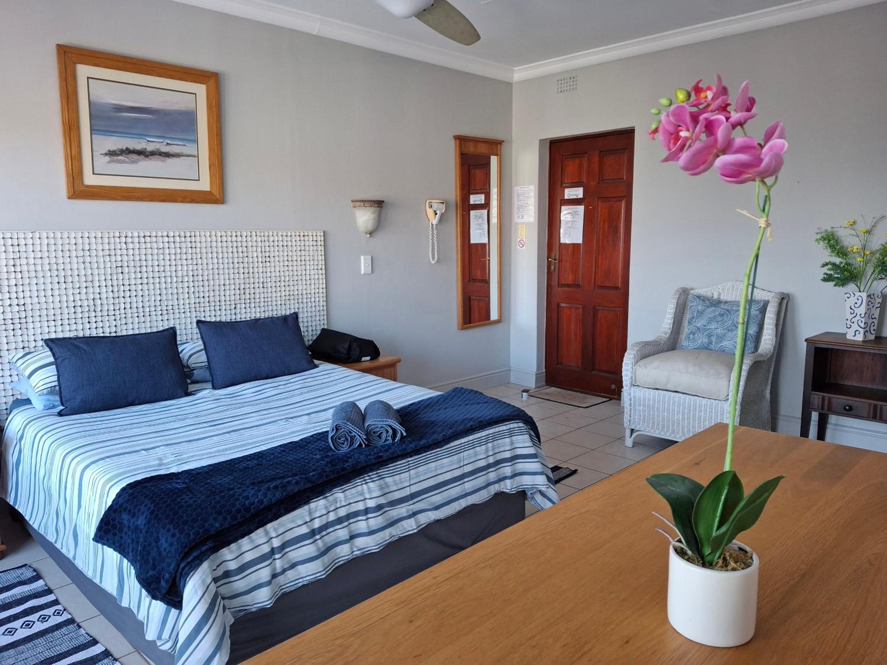 Plett D'light