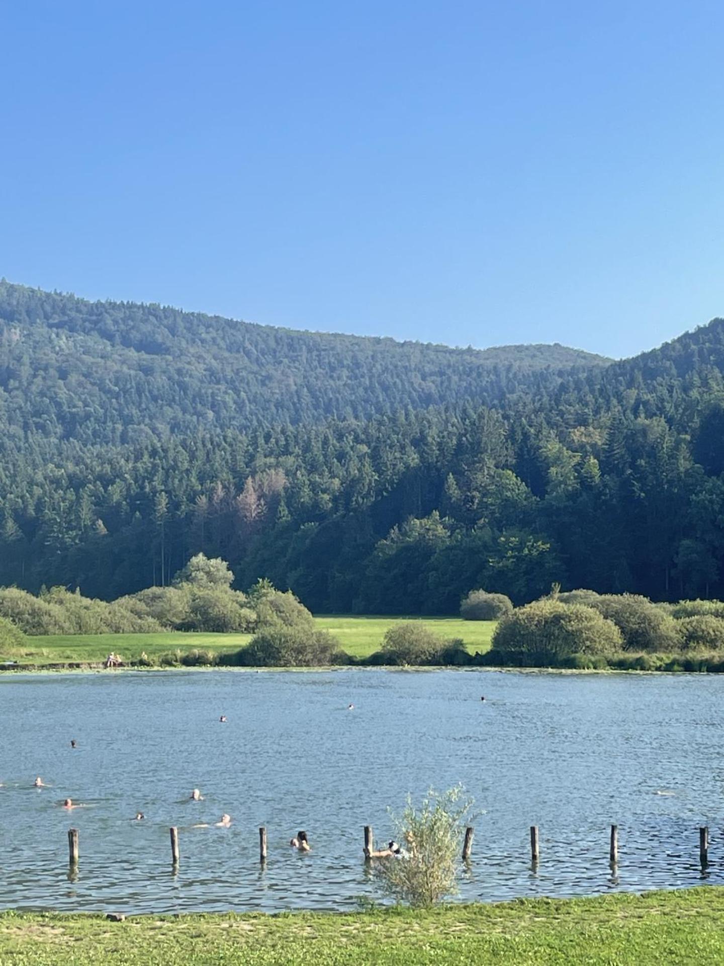 Cottage at the lake
