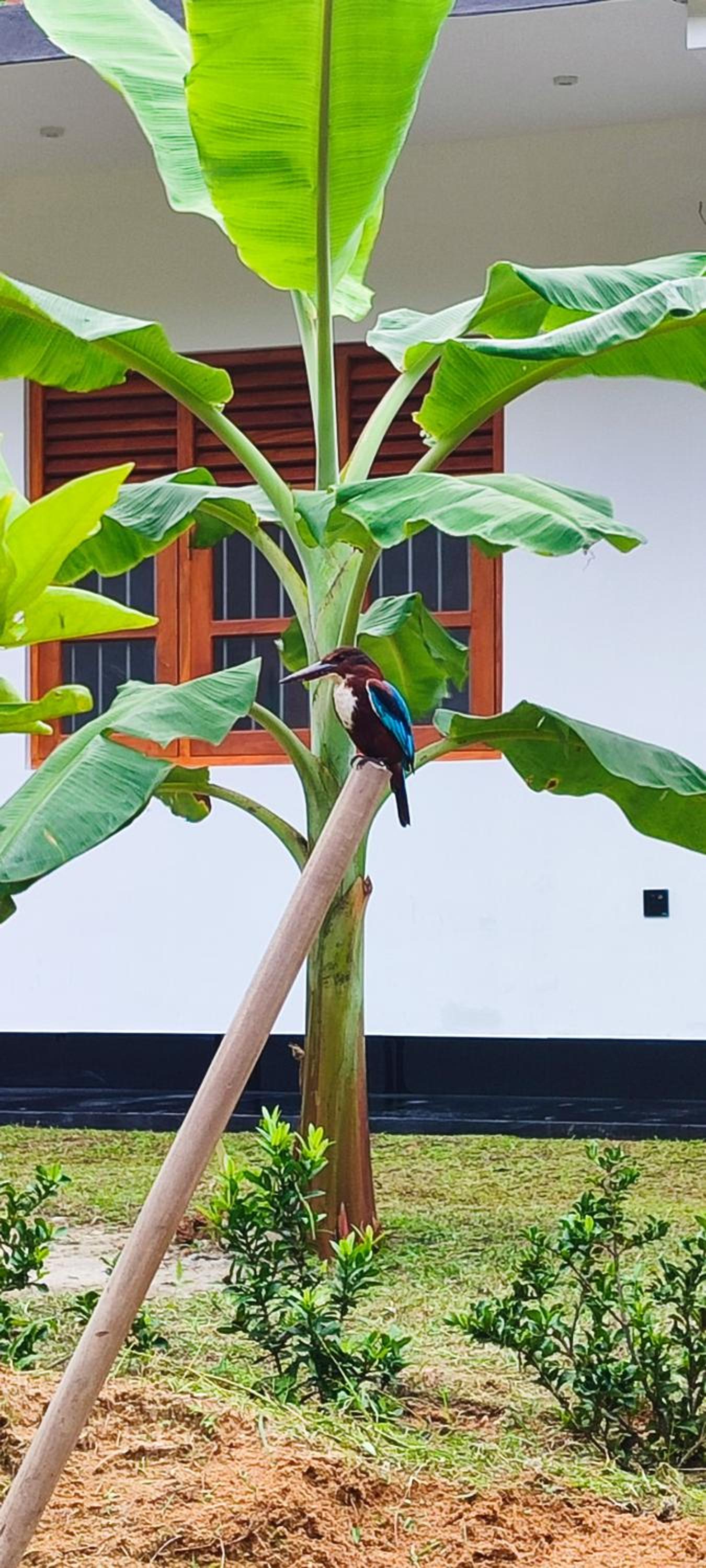 Mulia Private villa