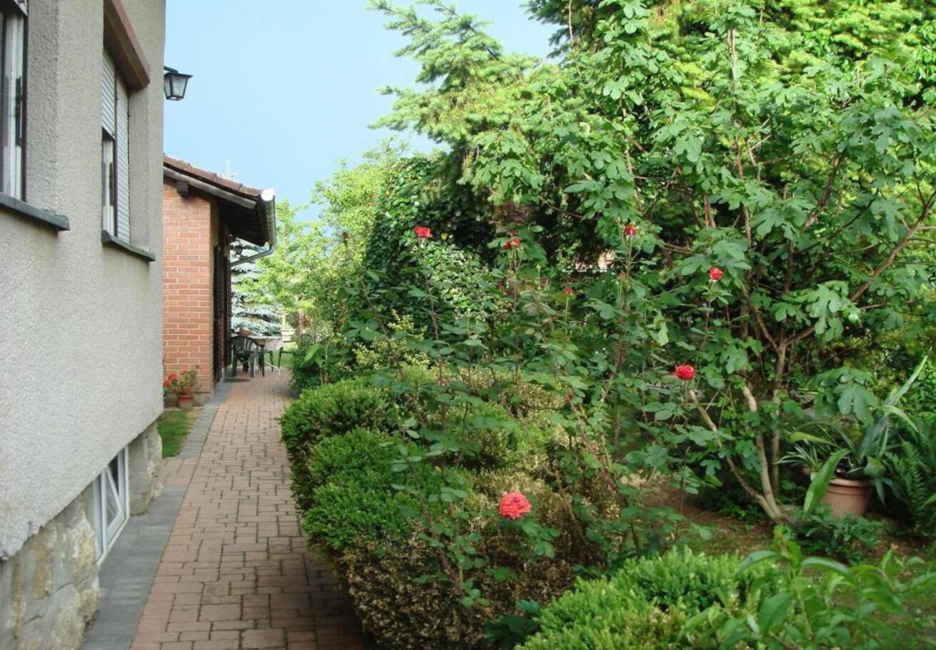 Rooms Branka view 4