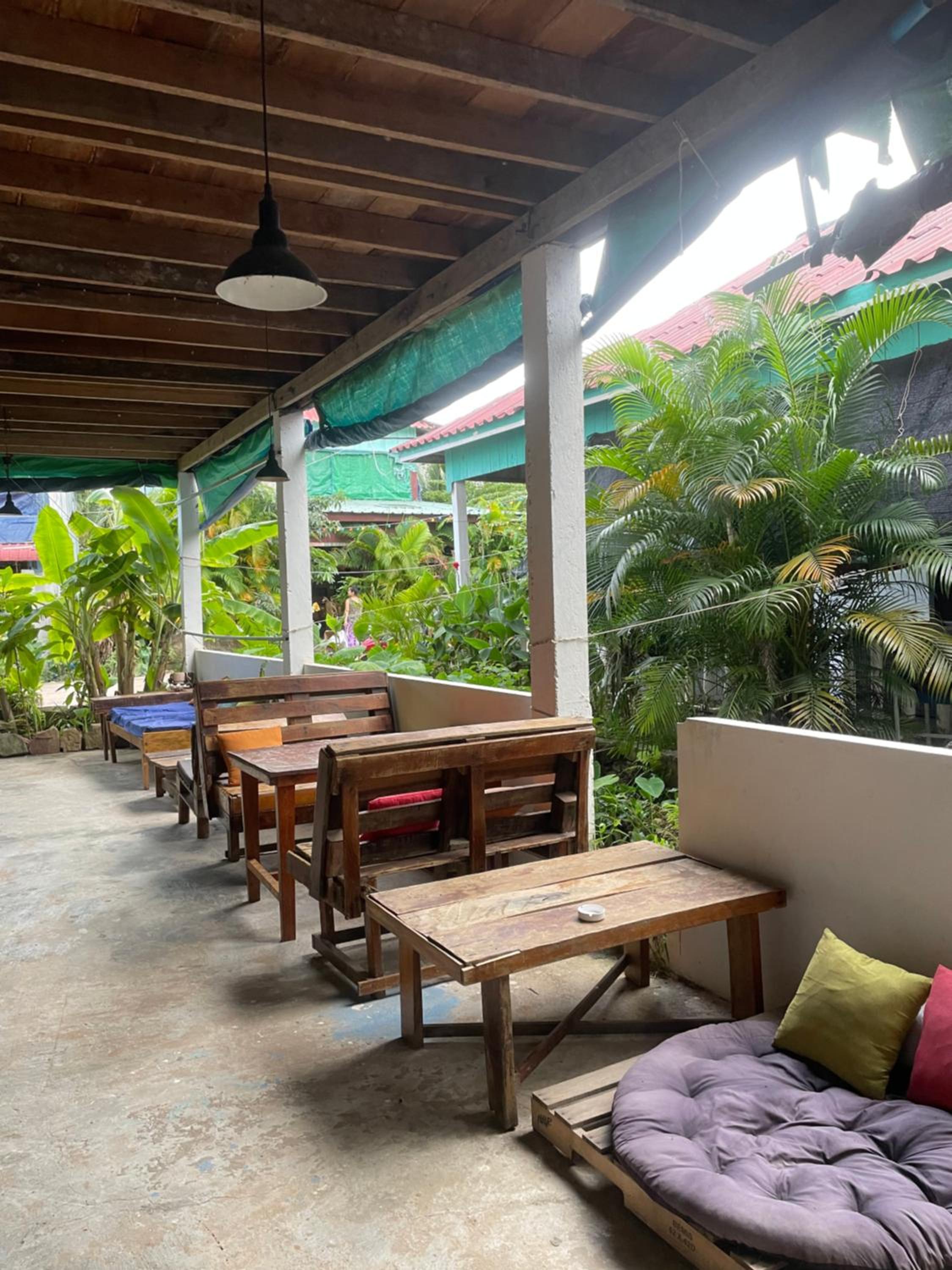 The Hornbill Hostel view 2
