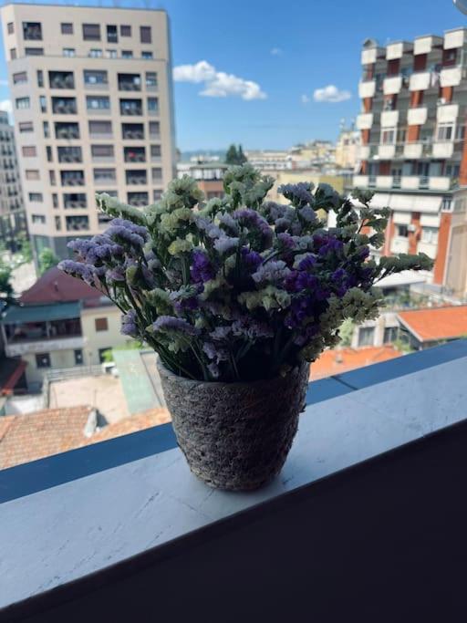 Tirana Central Apartment