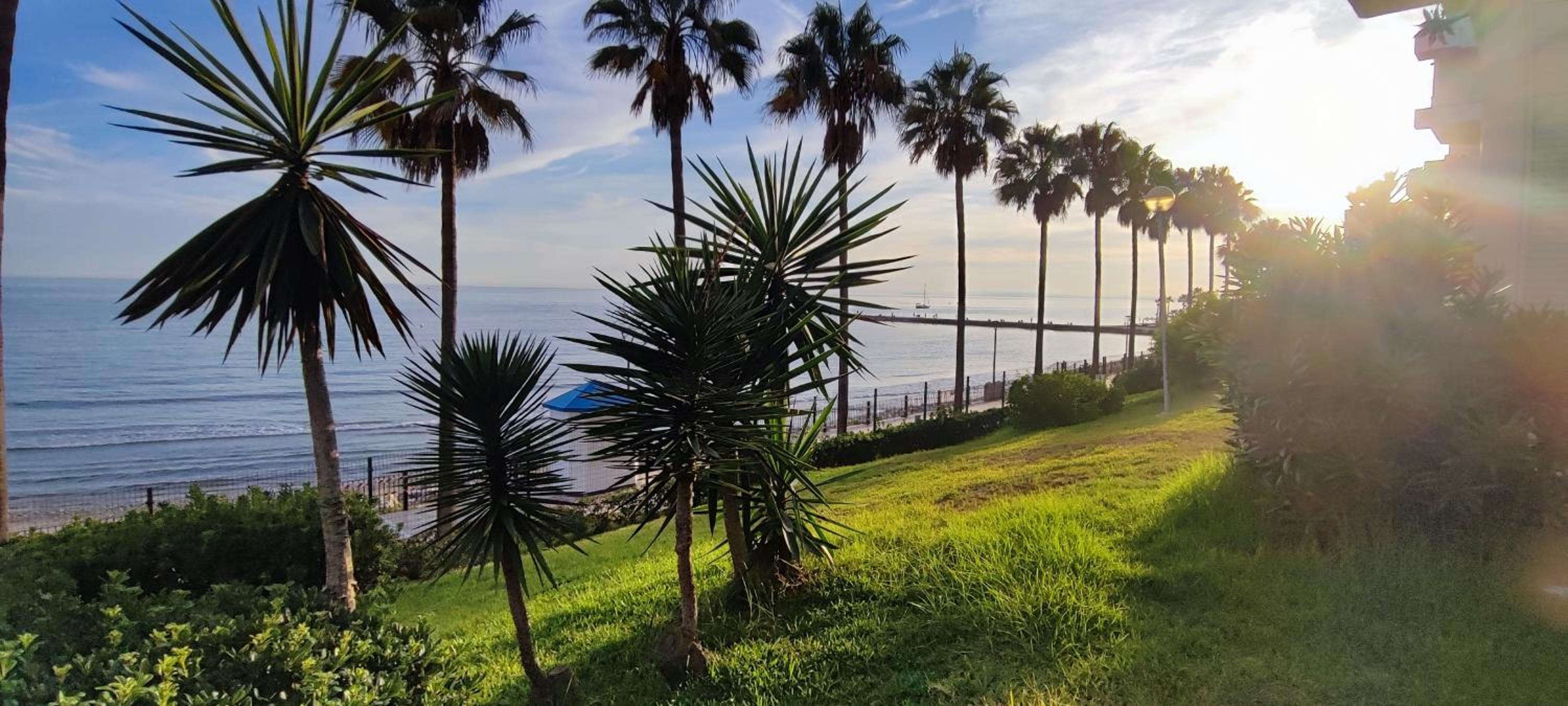 Marbella Suite photo 4