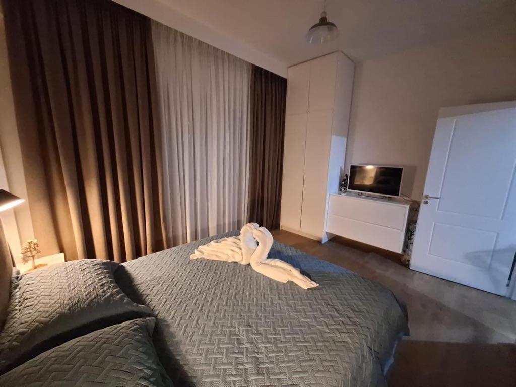 City Center Apartment