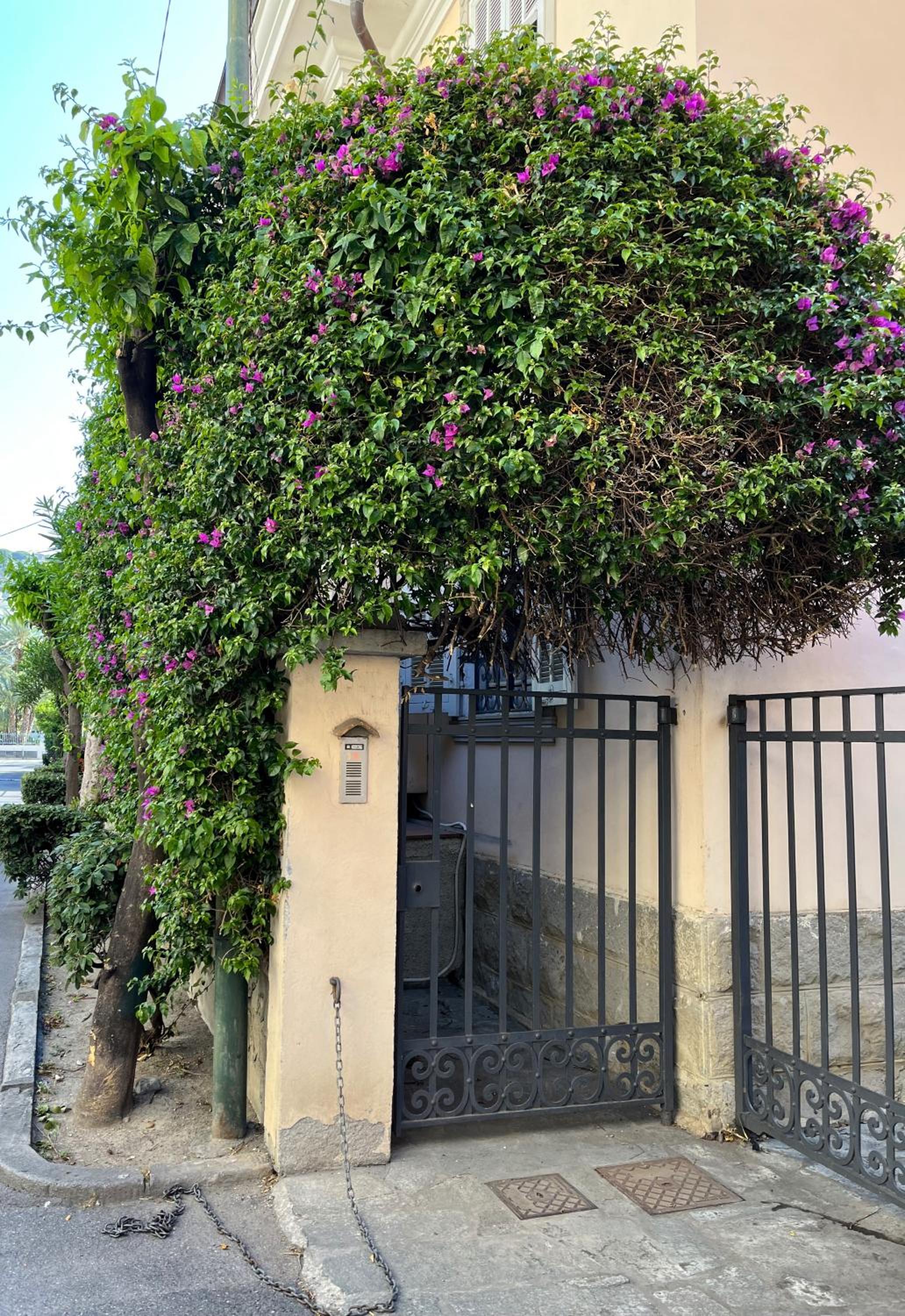 Photo 38