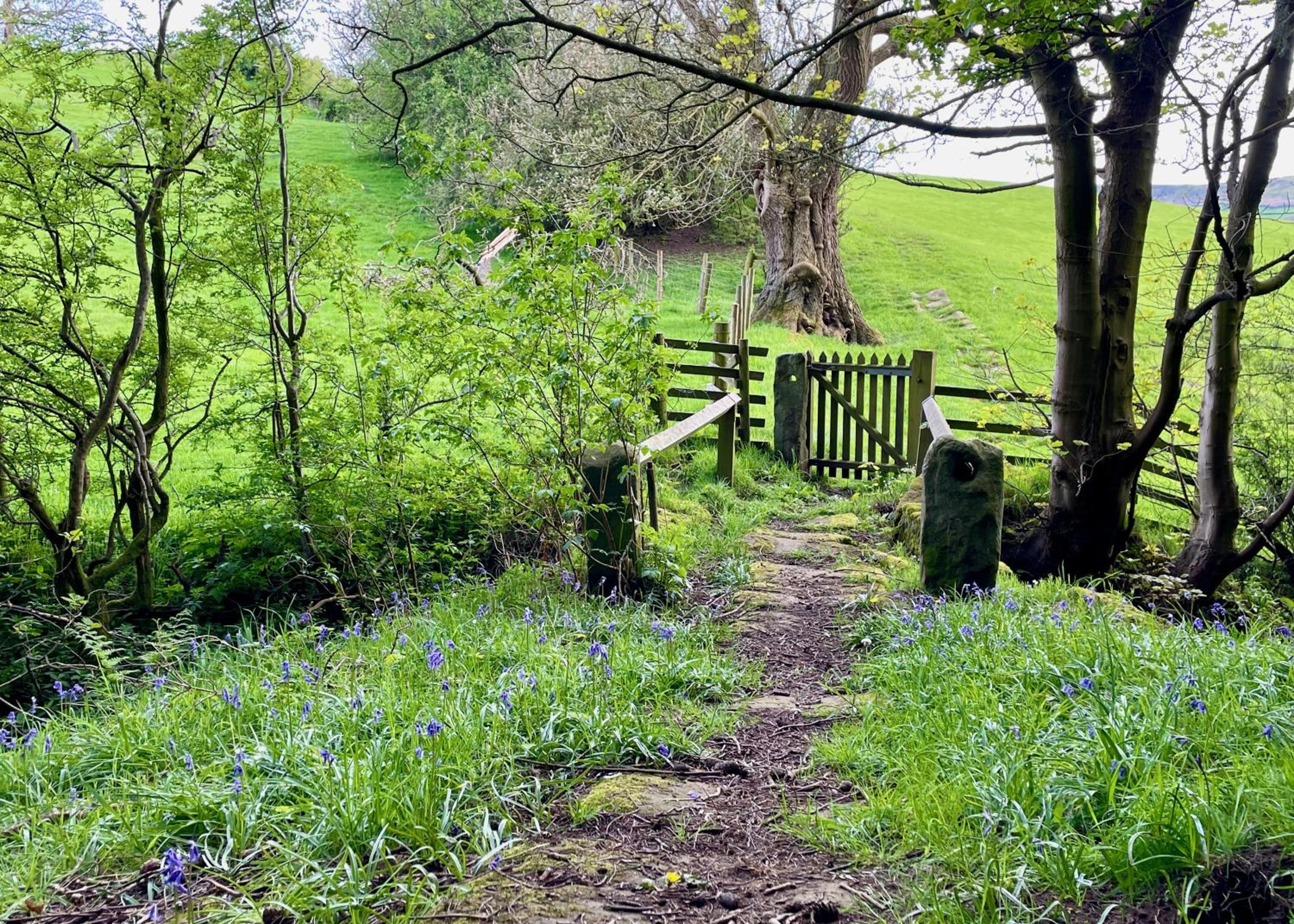 Church House Farm