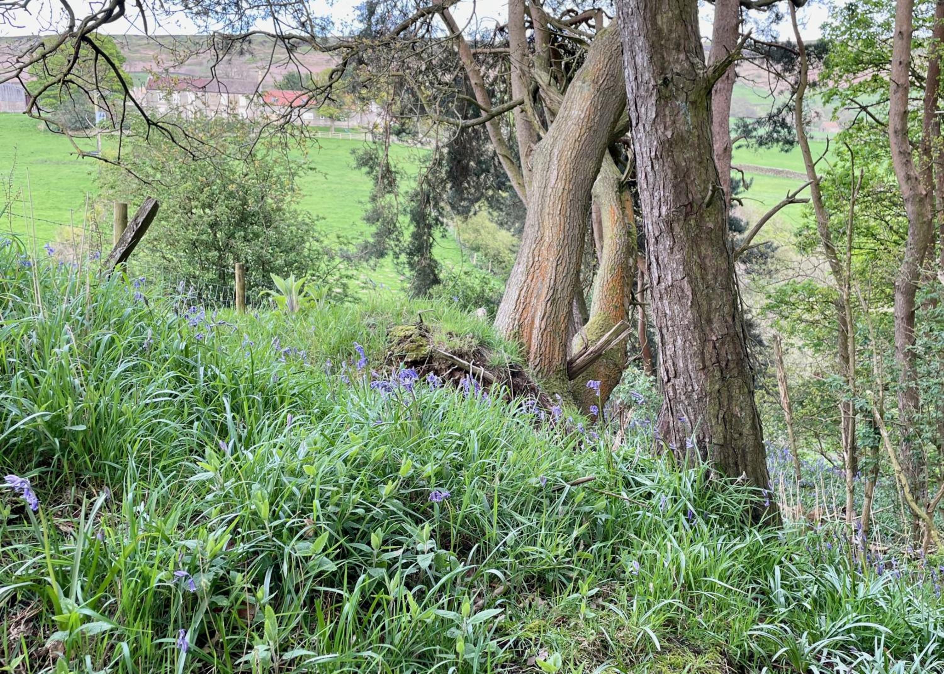 Church House Farm