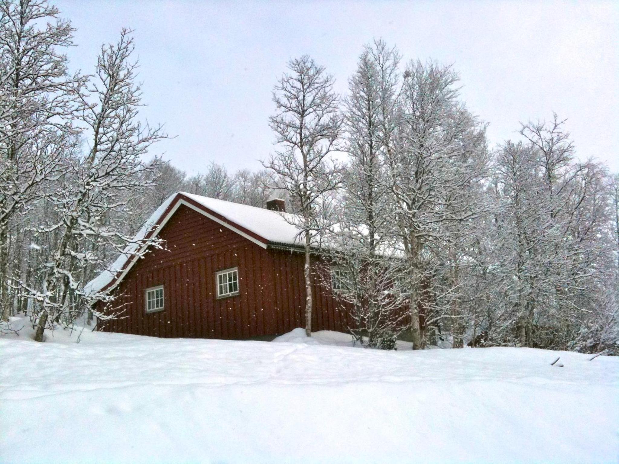 Charming Cabin Ski-In Access And Pet Friendly