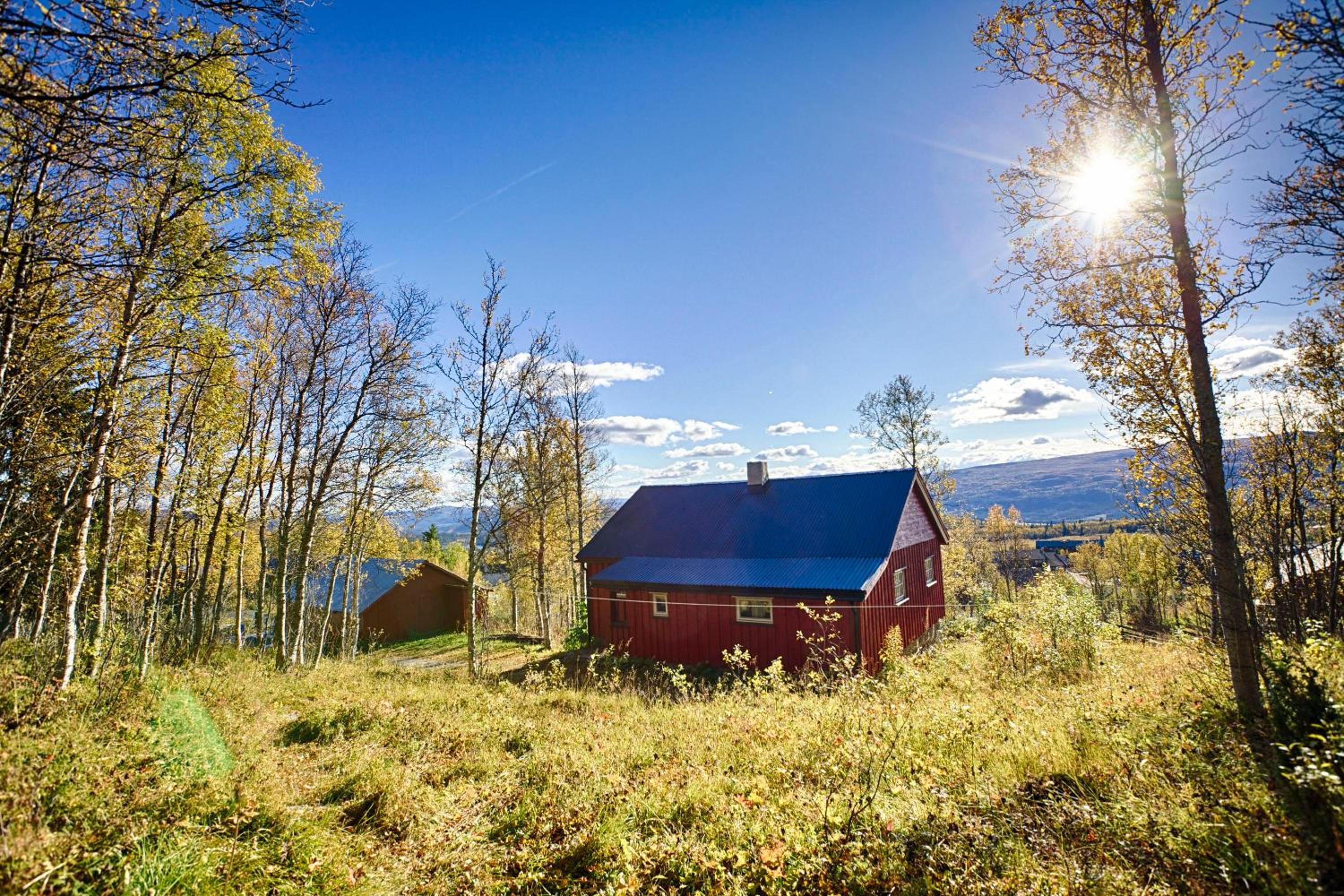 Charming Cabin Ski-In Access And Pet Friendly