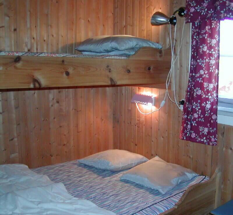 Charming Cabin Ski-In Access And Pet Friendly