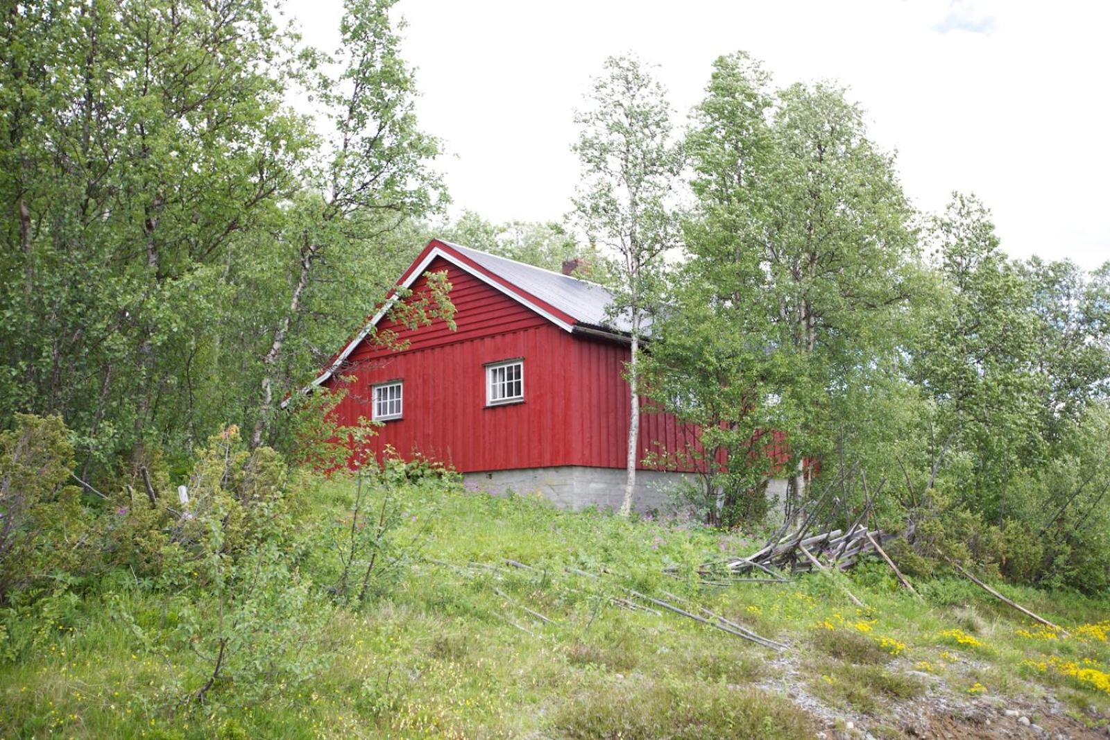Charming Cabin Ski-In Access And Pet Friendly