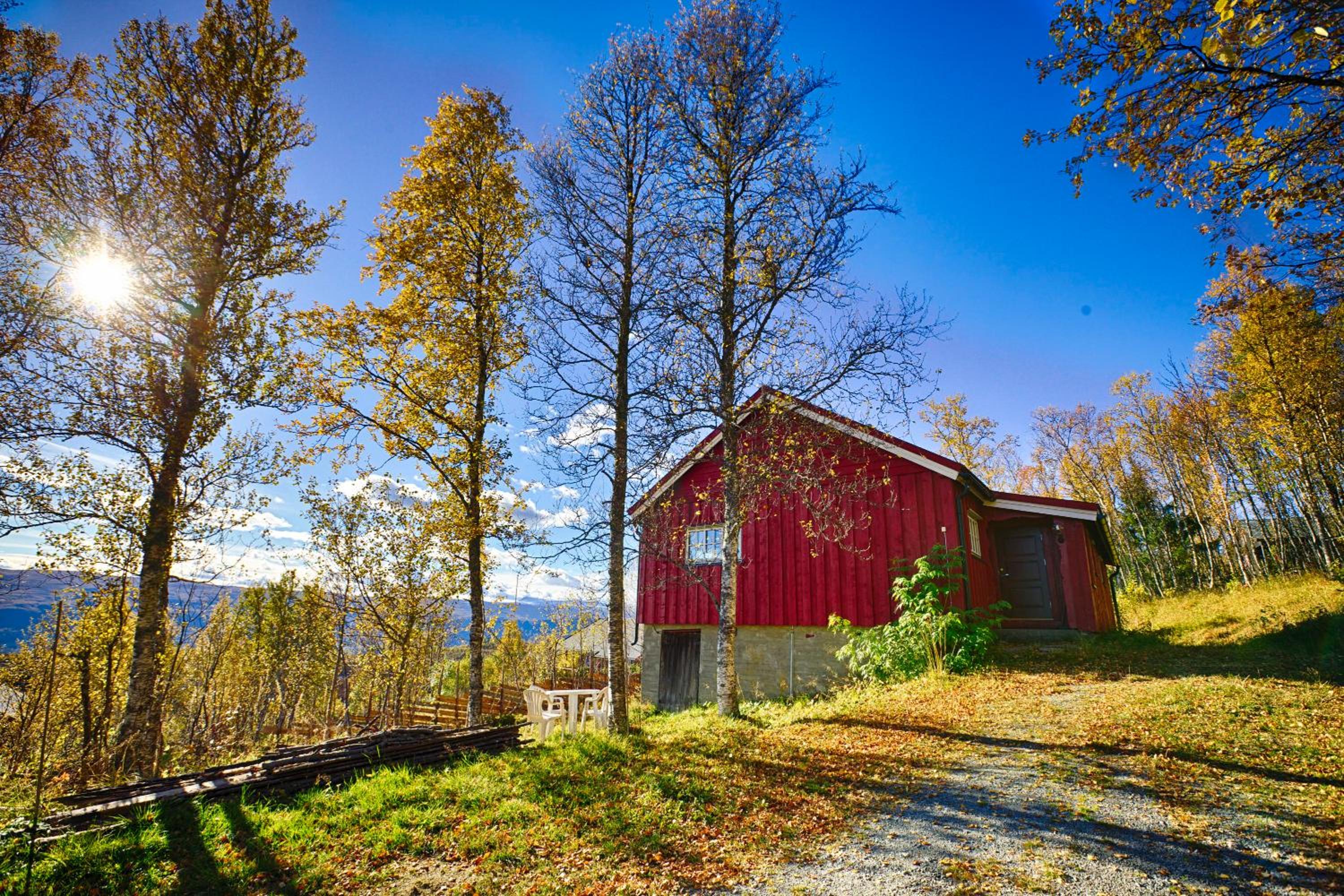 Charming Cabin Ski-In Access And Pet Friendly