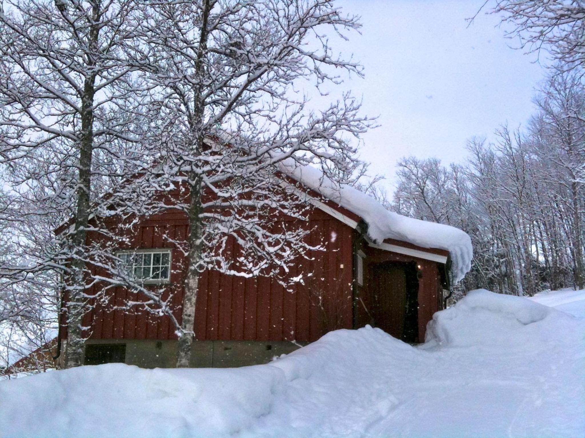Charming Cabin Ski-In Access And Pet Friendly