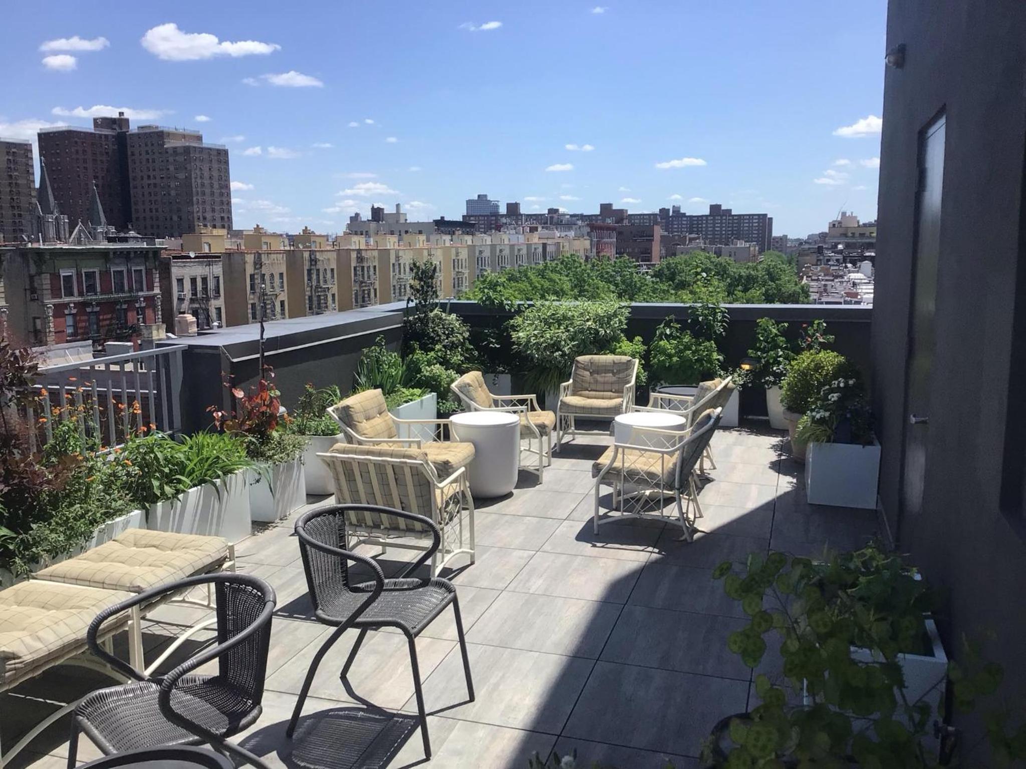 Beautiful Strivers Row, Harlem