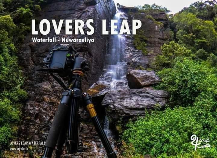 new shalika family cabin view 3