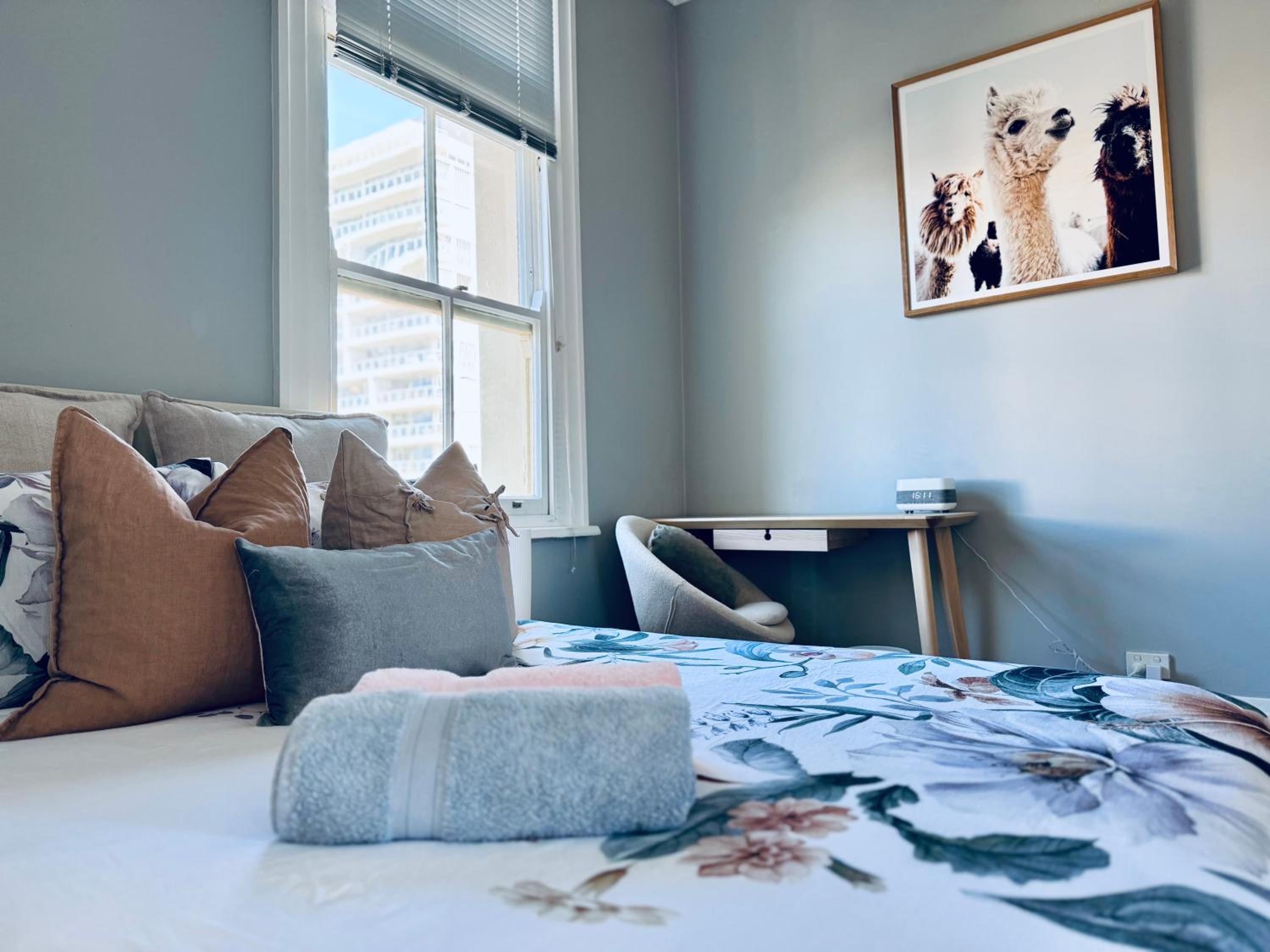 Sunny, Cozy, Central City 2BR Apartment - Free Parking 