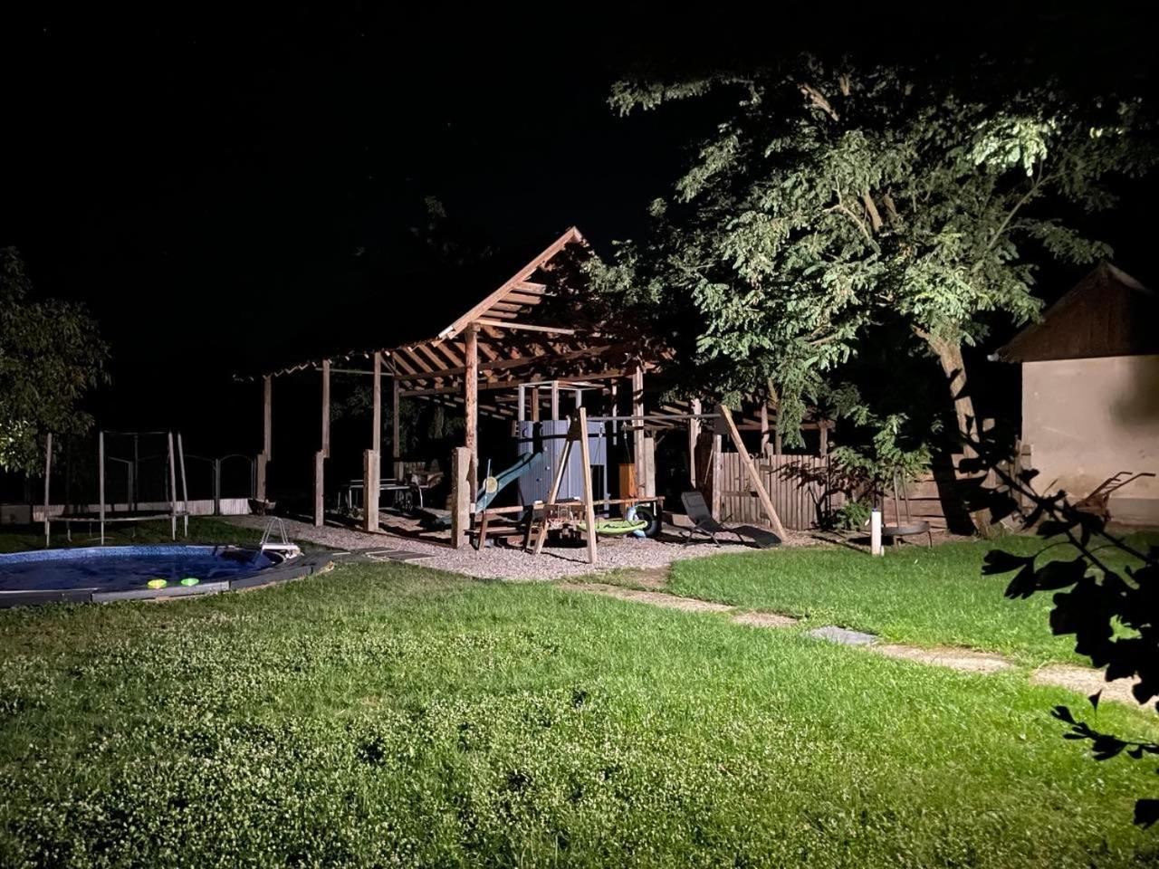 Photo 21