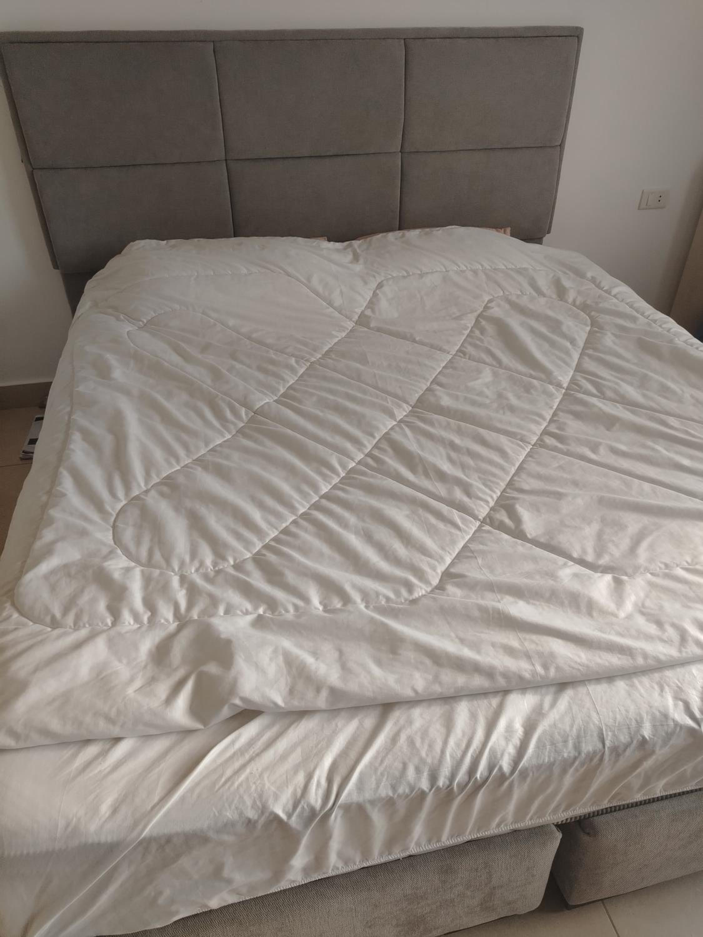 Fayoumi apartment