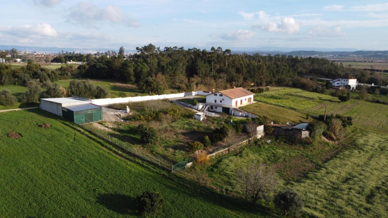 Quinta da Barrosa