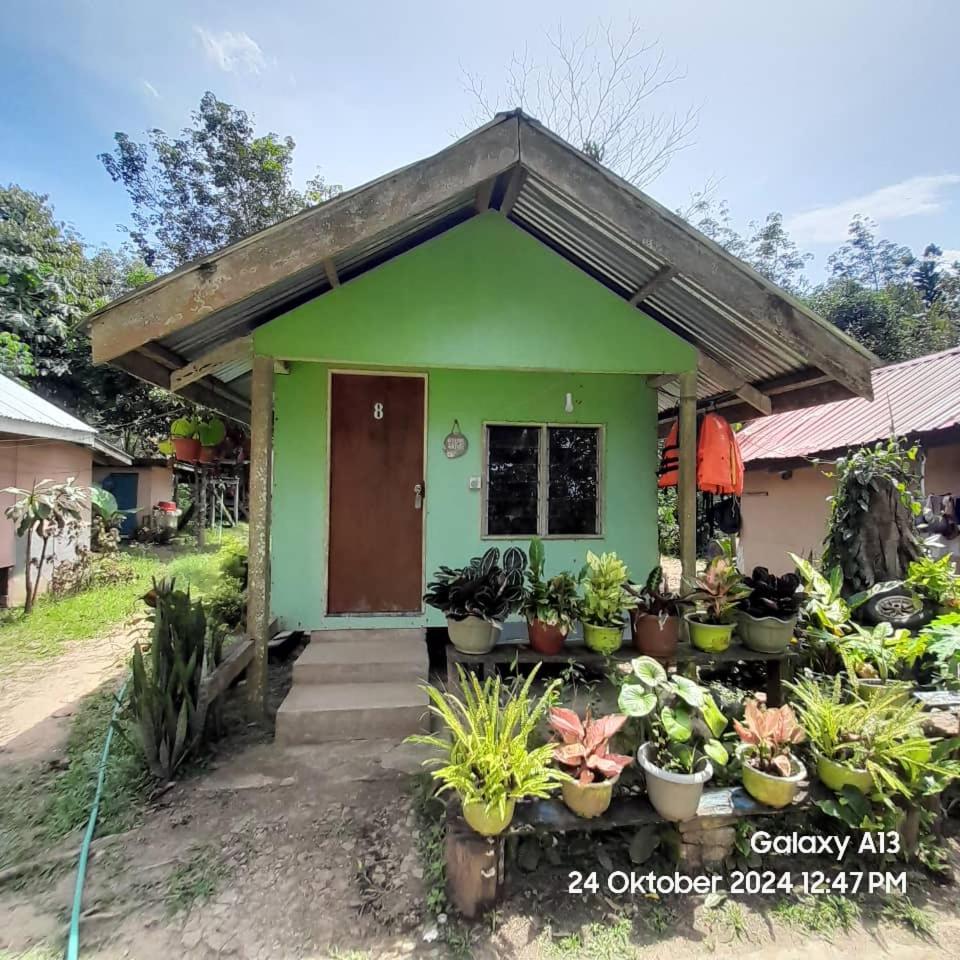 Sukau Sandipau Stay photo 6