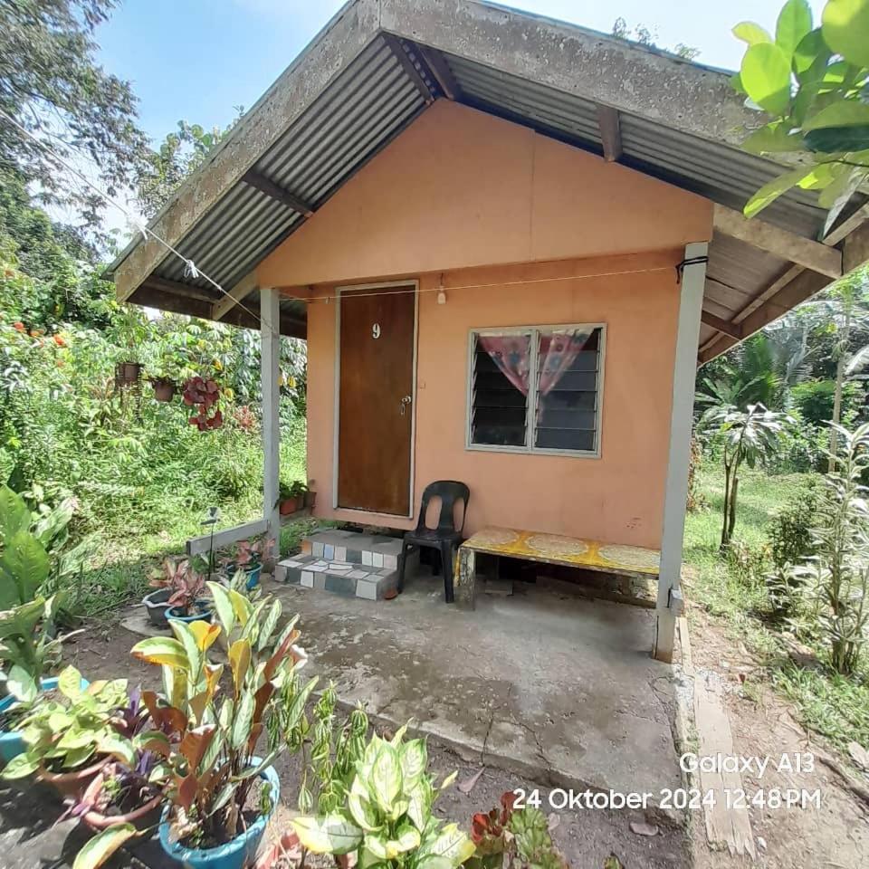 Sukau Sandipau Stay