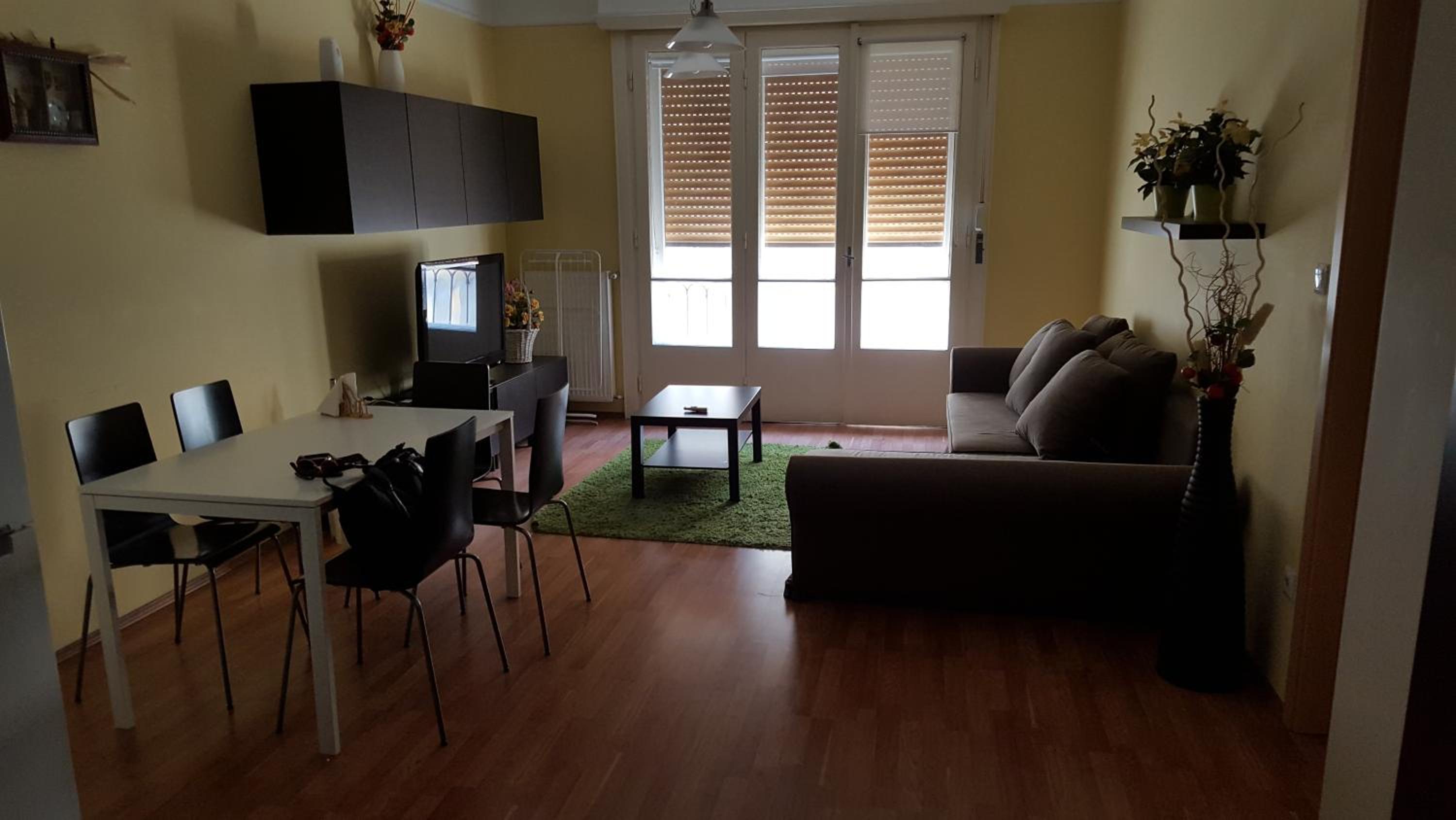 Asboth Deluxe Apartment view 2