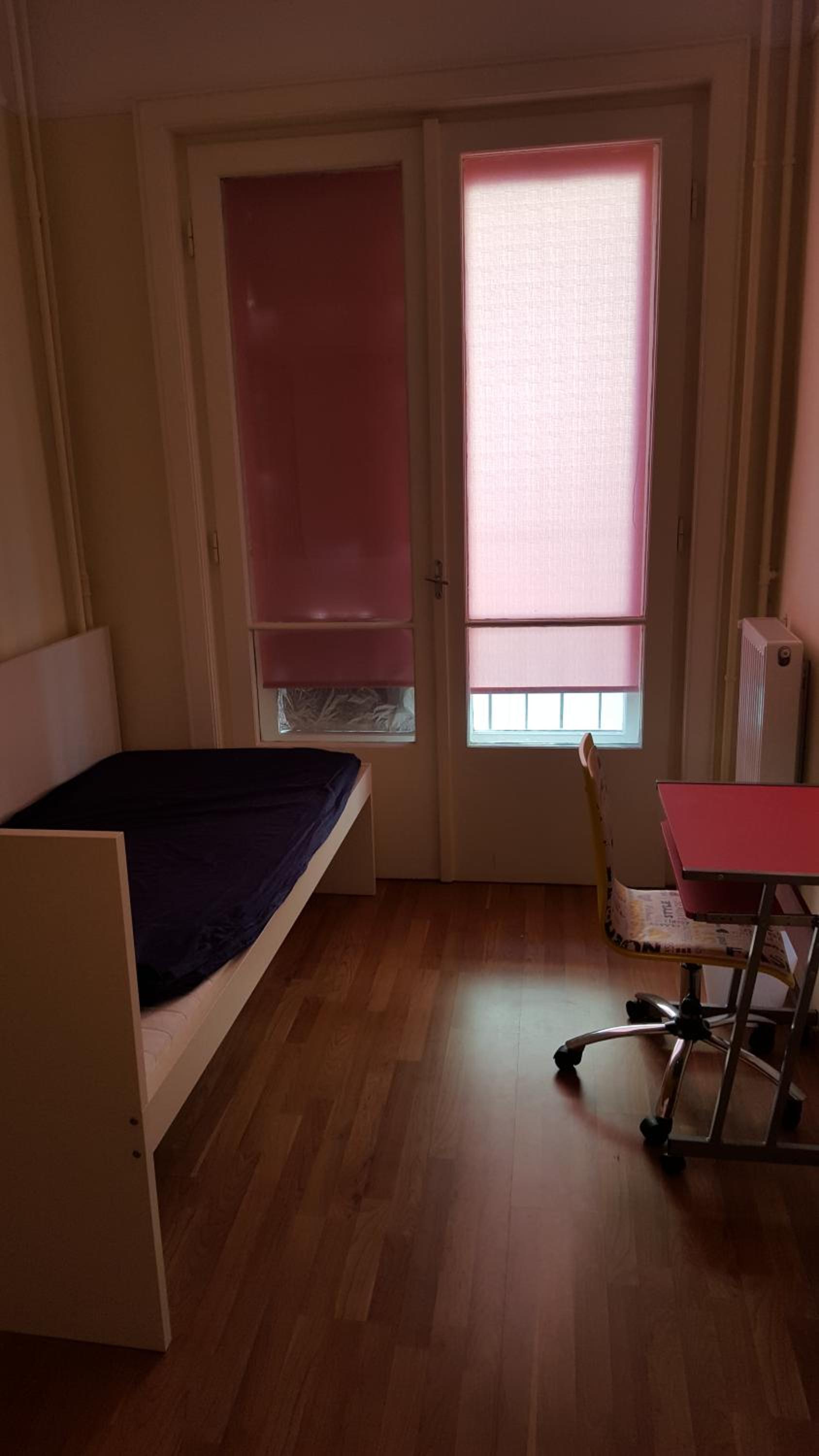 Asboth Deluxe Apartment view 4